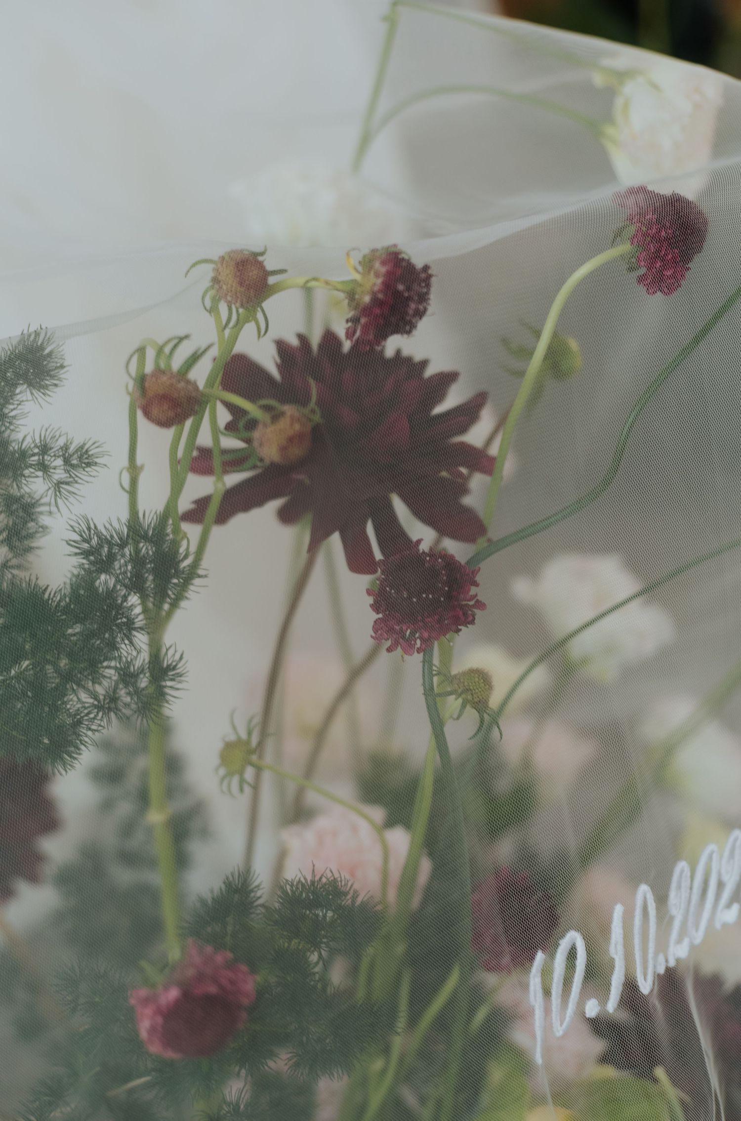 Dark burgundy scabiosa flowers with delicate green stems arranged behind frosted glass with a date inscription.