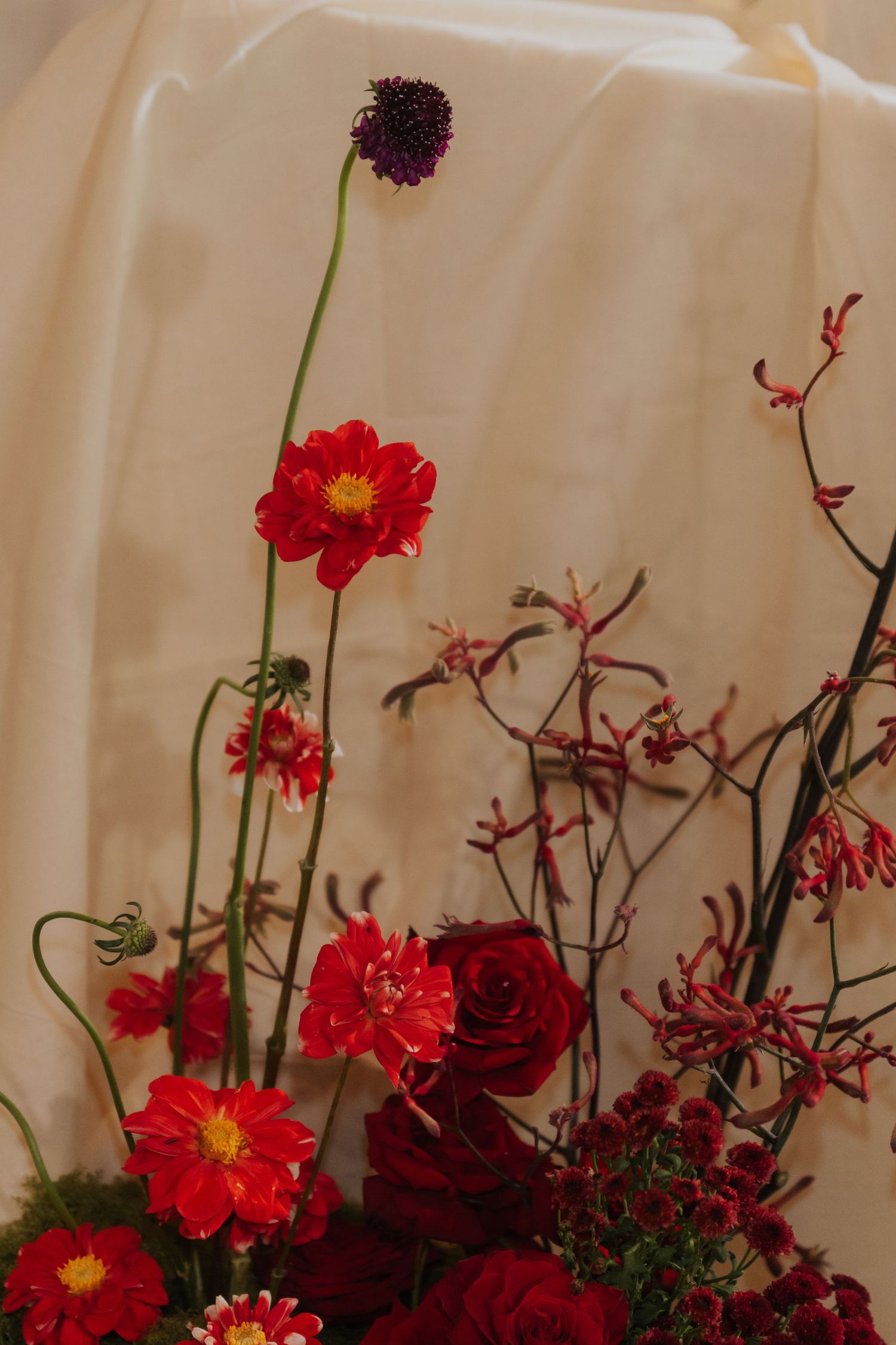Red floral arrangement with roses, dahlias, and allium against cream fabric backdrop.