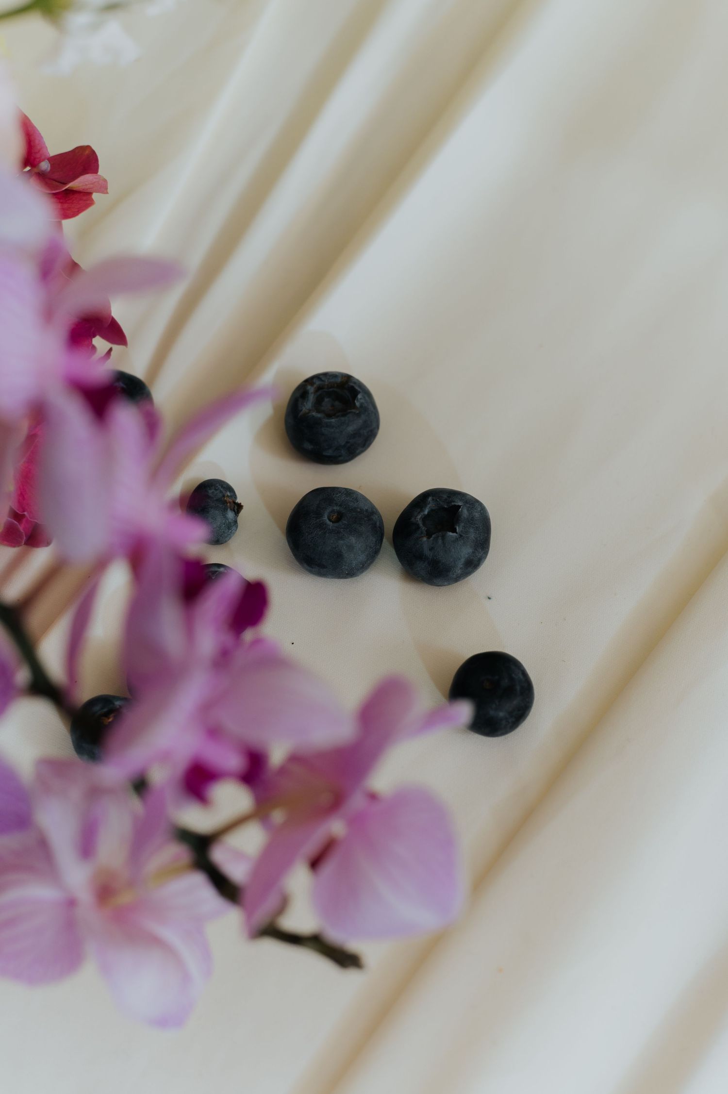 Fresh blueberries scattered on cream silk fabric beside delicate pink orchid flowers in a elegant flat lay composition.