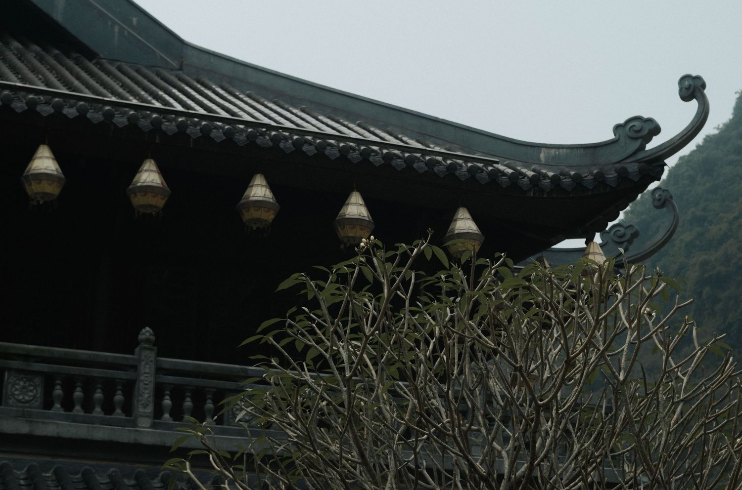 Traditional Asian temple rooftop with ornate dragon sculpture, hanging lanterns, and bare tree branches against a misty sky.