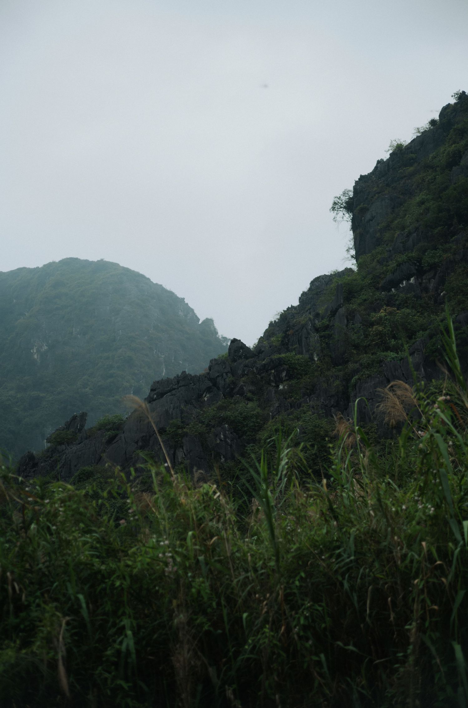 Misty green mountains with lush vegetation and rocky cliffs under an overcast sky in a tropical landscape.
