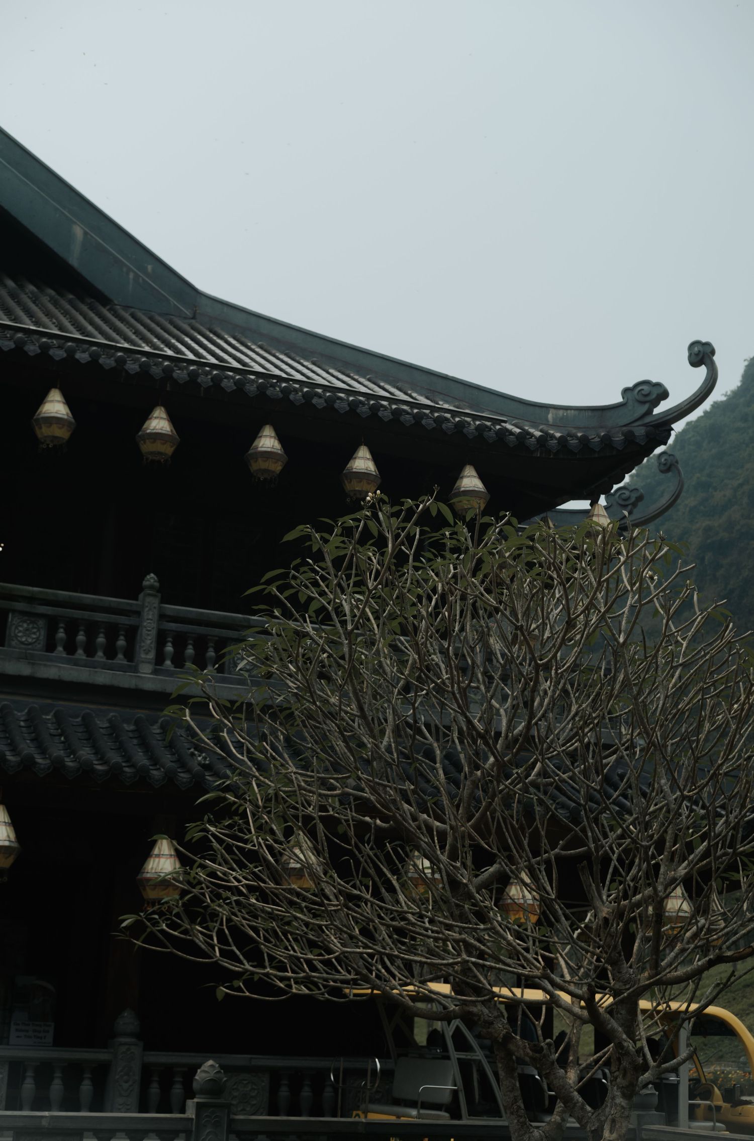 Traditional Asian temple with ornate dark roof, decorative lanterns, and bare tree against misty sky.