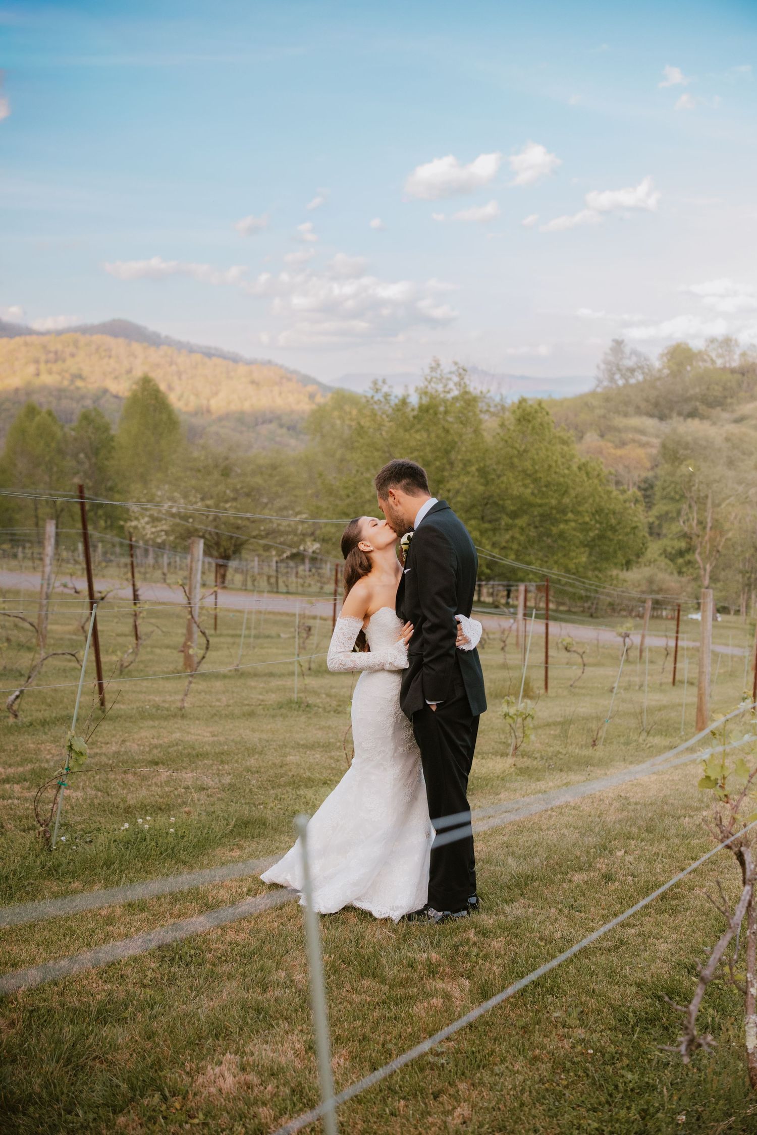 A bride and groom share a romantic kiss in a vineyard with rolling mountains and blue sky in the background.