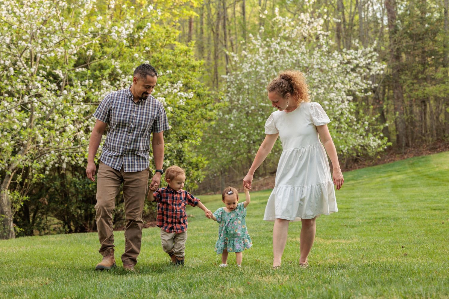 Family of four walking on green grass with blooming trees in background on a sunny spring day.