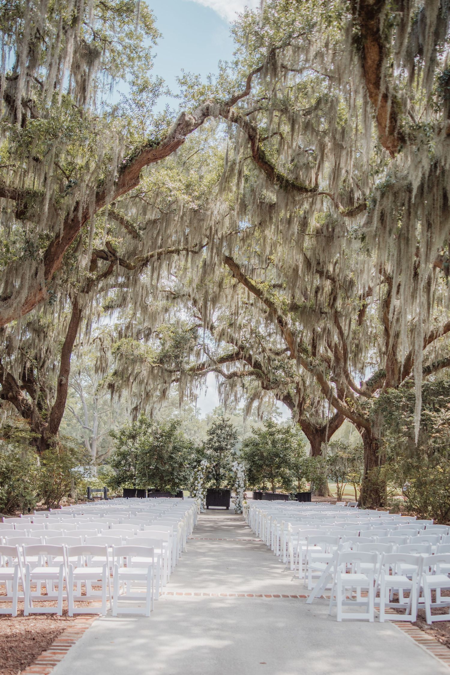 Elegant outdoor wedding ceremony aisle lined with white chairs under sprawling Spanish moss-draped oak trees.