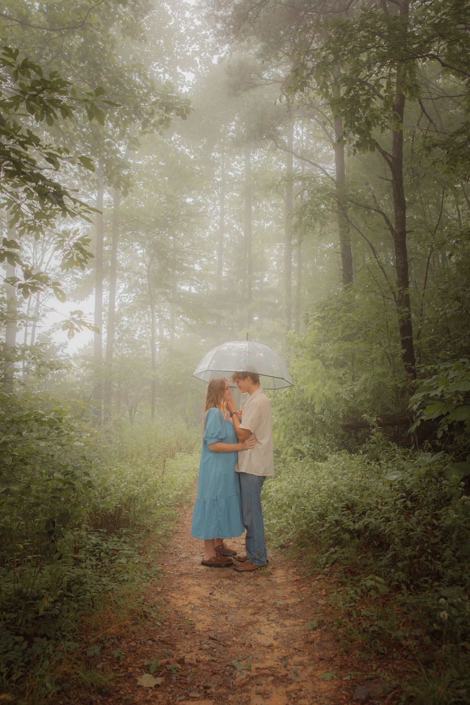 Romantic couple embracing under a clear umbrella on a misty forest trail surrounded by trees.