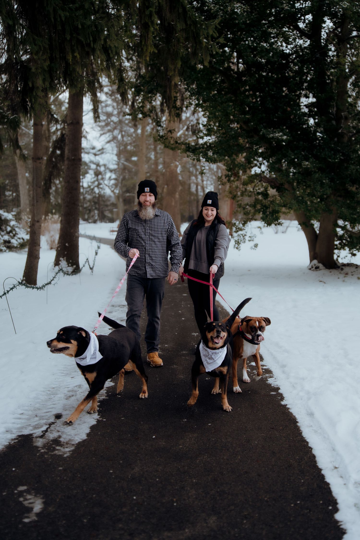 Family and their dogs pose together on a snowy winter path in the woods. Hayes Presidential Center Fremont OHIO