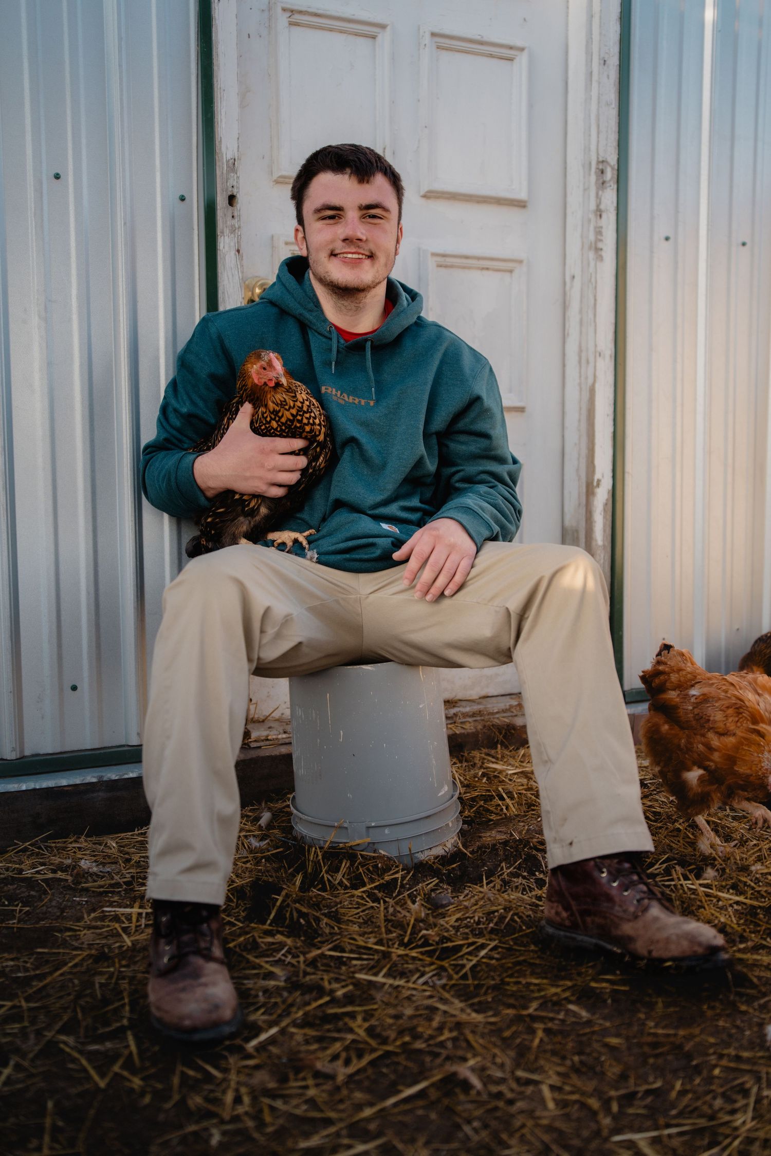 Person in teal hoodie sits with chickens in a rustic farm setting. fremont, ohio