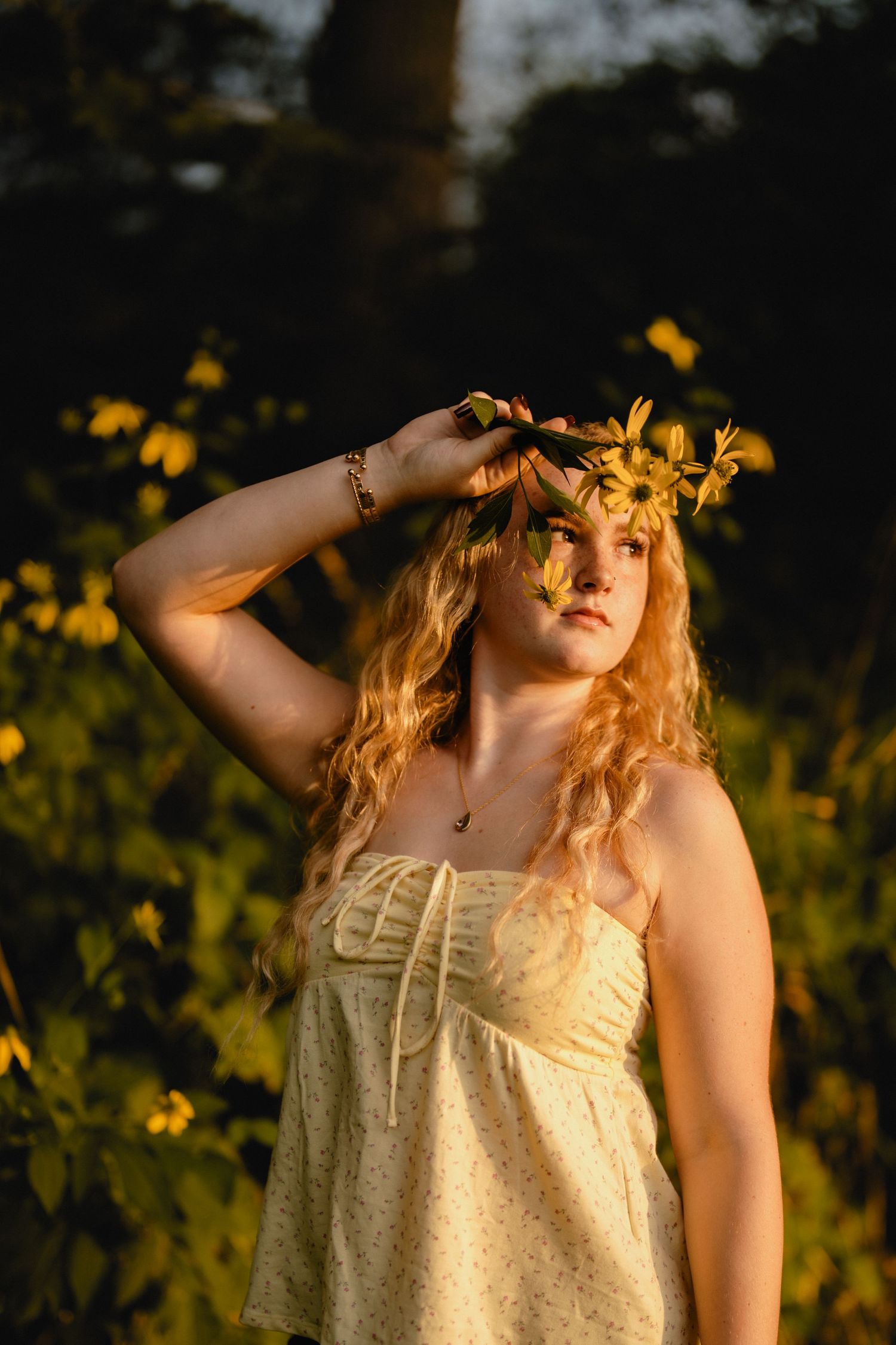 Golden hour portrait with sunlit yellow flowers and dramatic shadows. Steyer Nature Preserve Tiffin, Oh