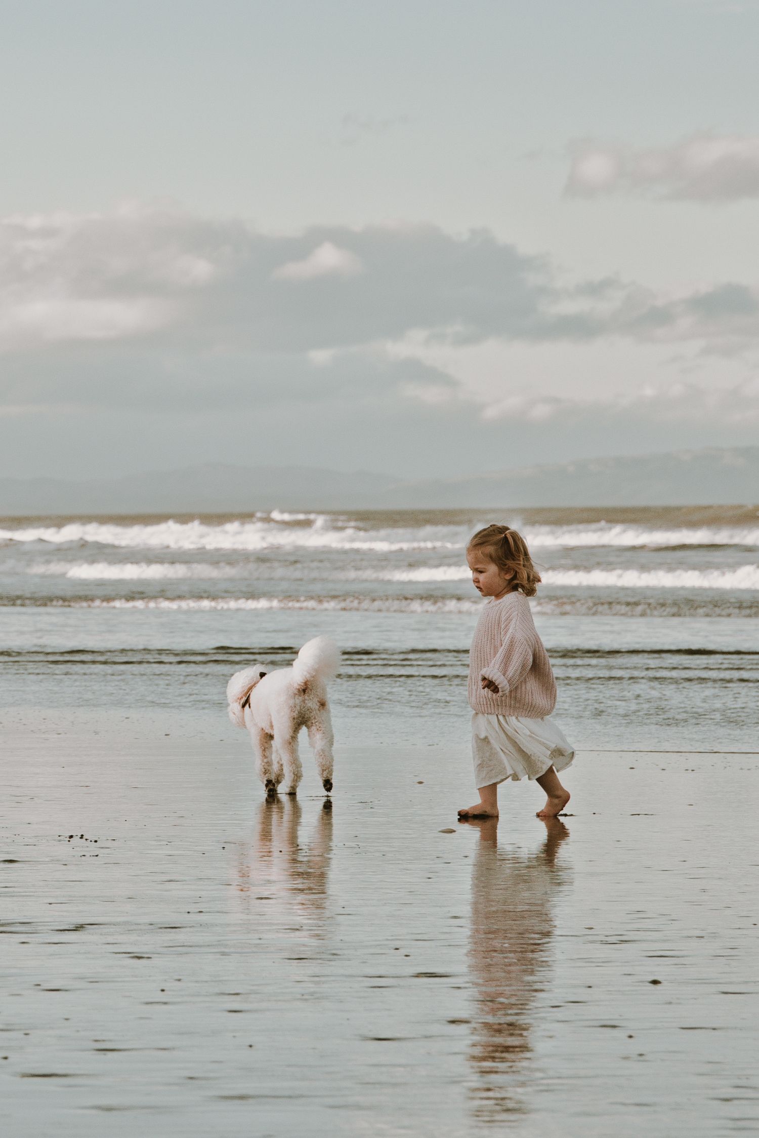 Little girl and pet dog during a natural family photo session in Christchurch