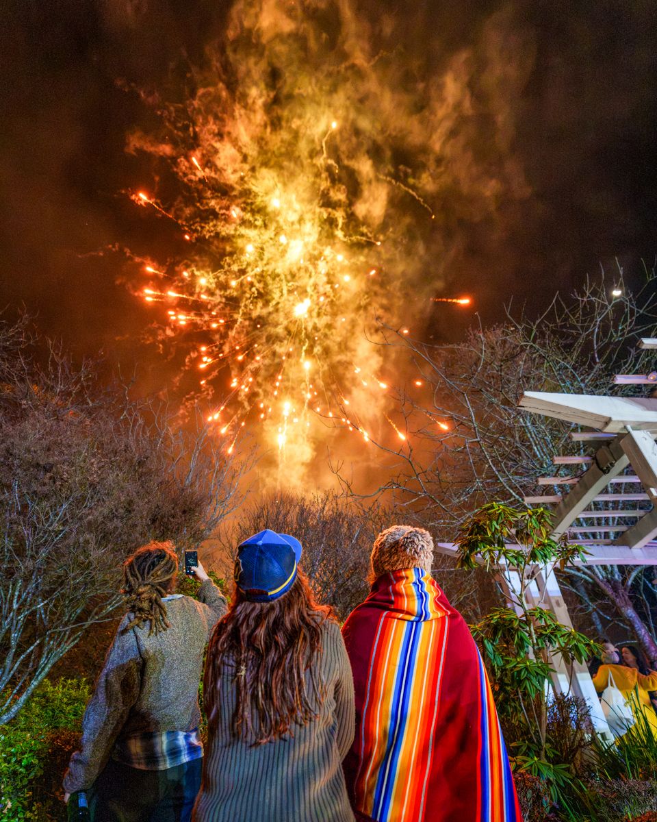 Three people watch a vibrant fireworks display lighting up the night sky with golden bursts amid bare winter trees.