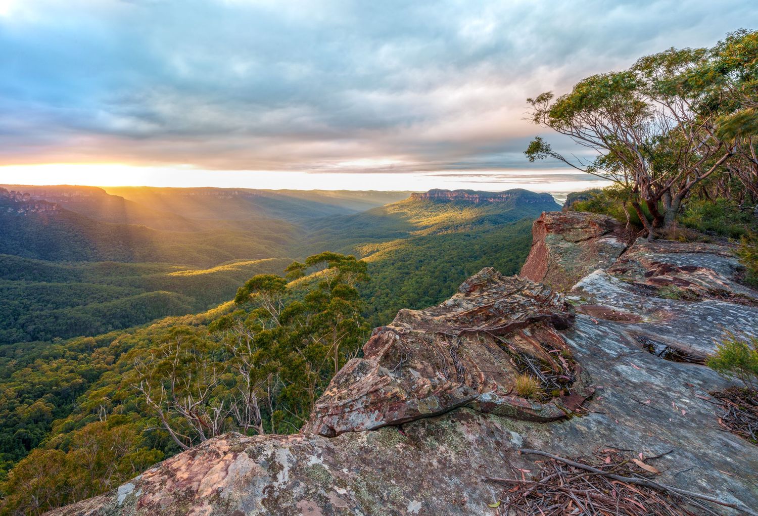 Stunning sunset over Blue Mountains valley with lush green forest, rocky cliffs, and dramatic cloudy sky in Australia.
