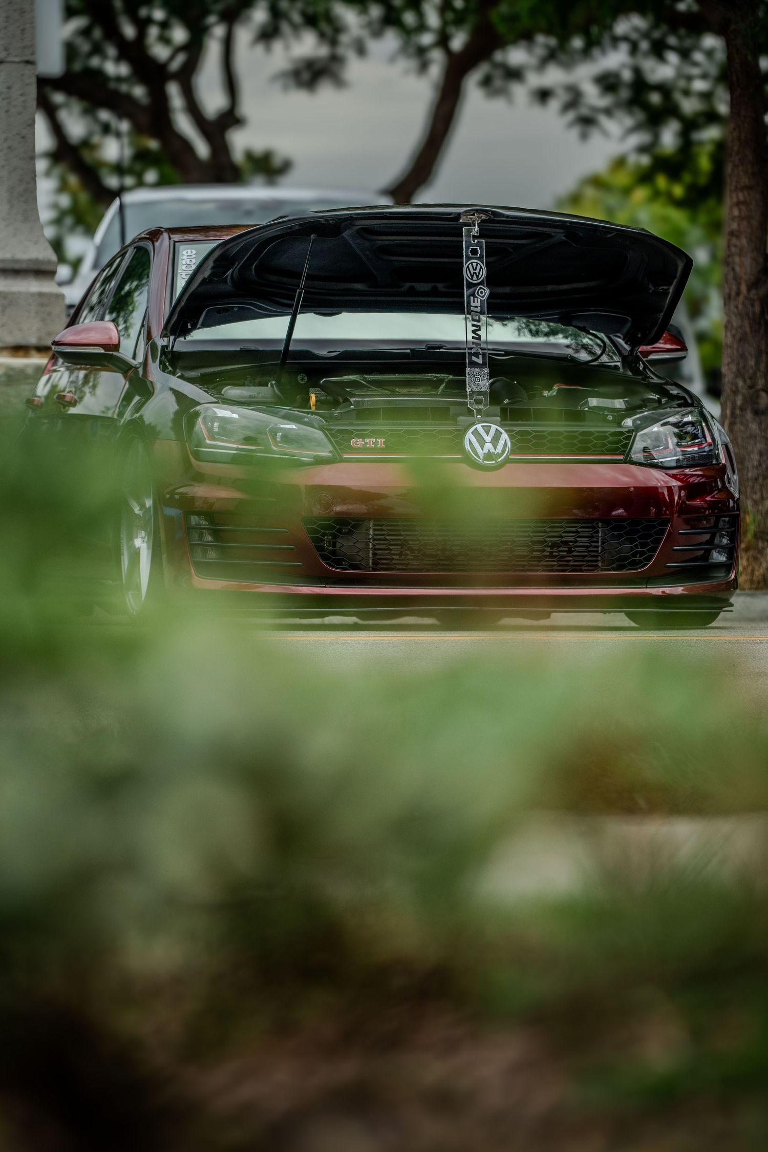 Low angle view of cars through foliage at an automotive gathering.