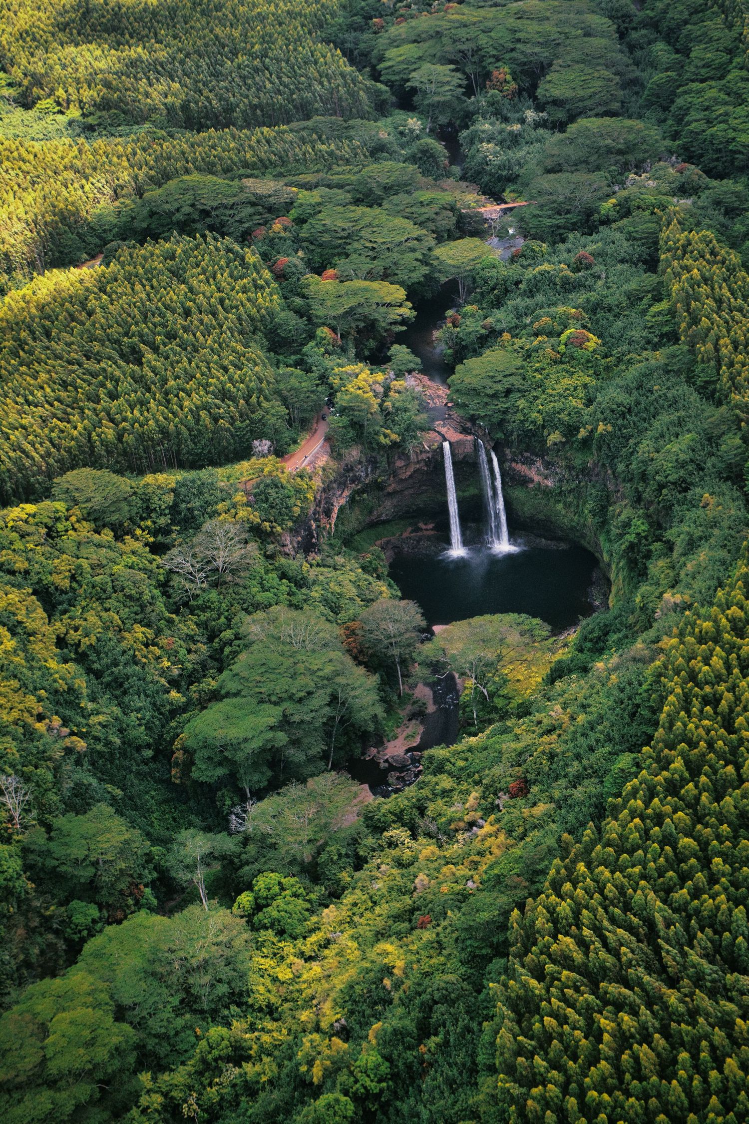 Aerial view of twin waterfalls surrounded by lush tropical rainforest in Hawaii.