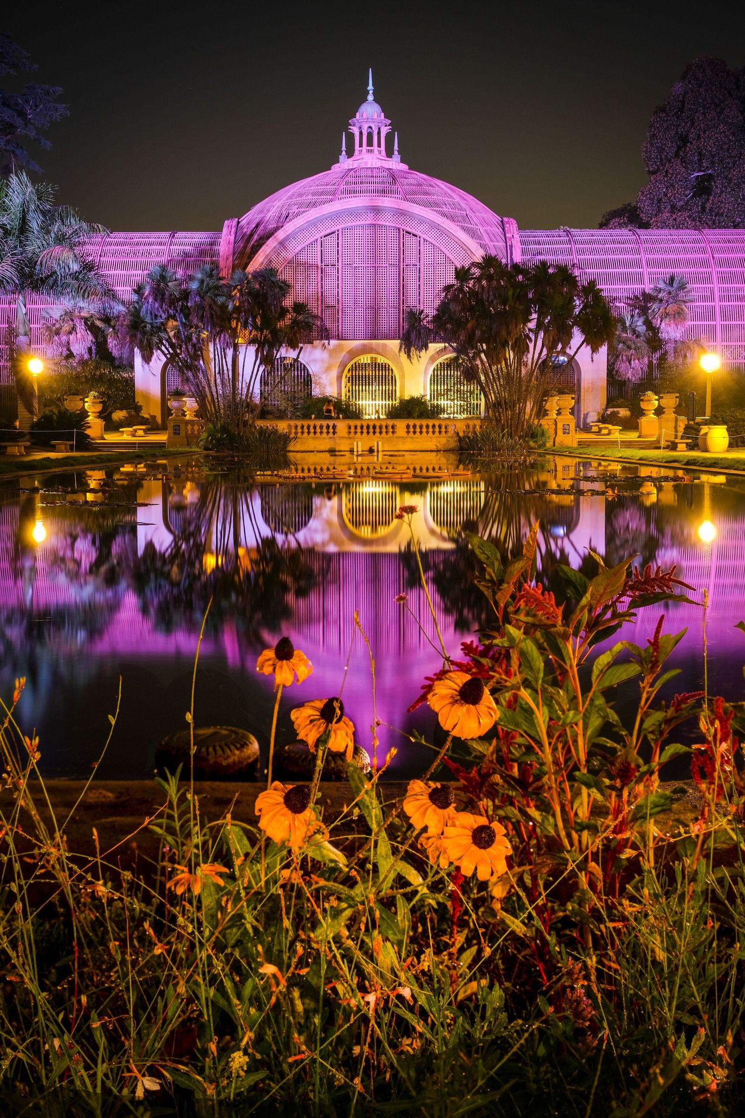 Illuminated botanical garden building reflecting in water at night with purple lighting.