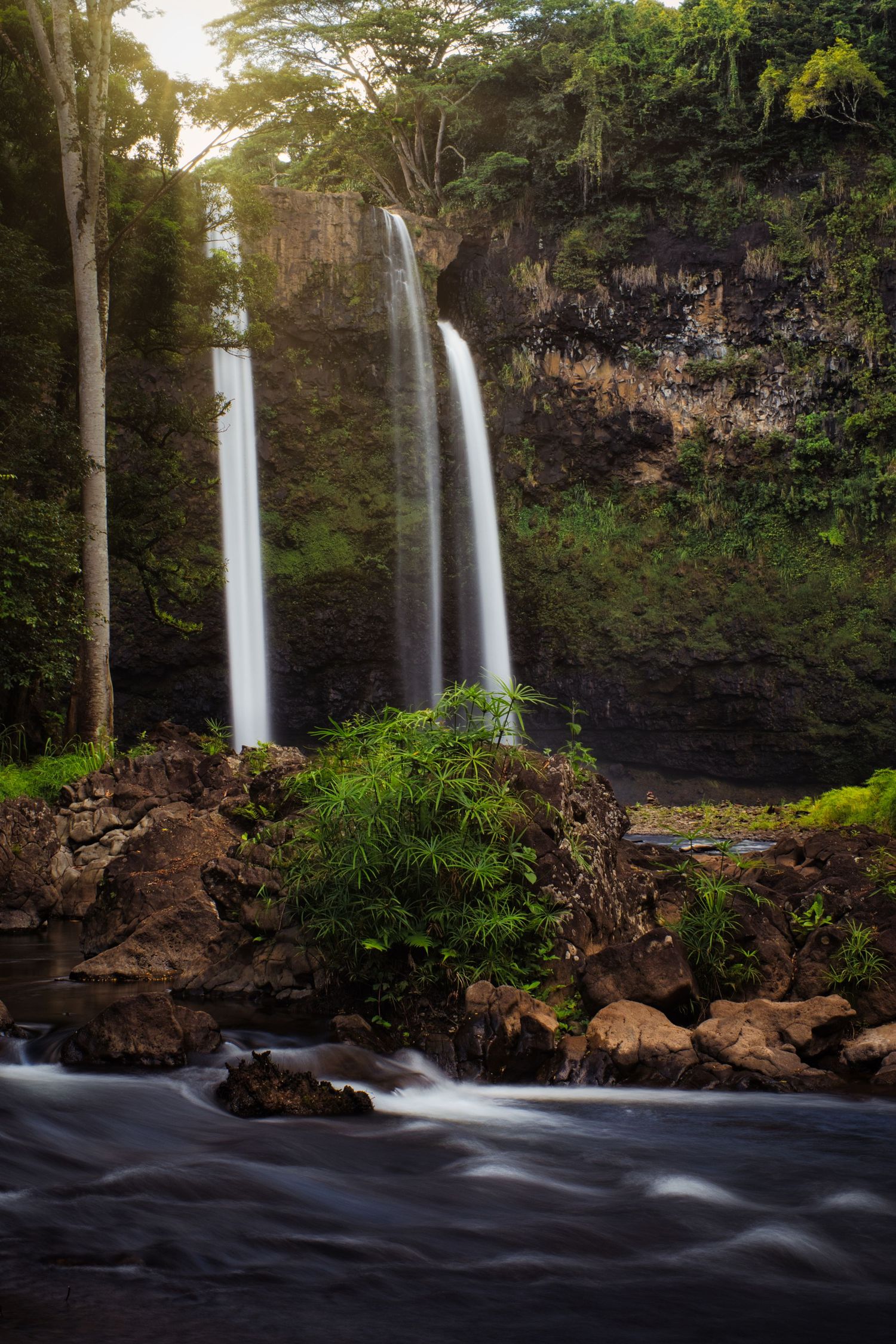 Majestic twin waterfalls flowing over dark rocks surrounded by lush tropical vegetation.