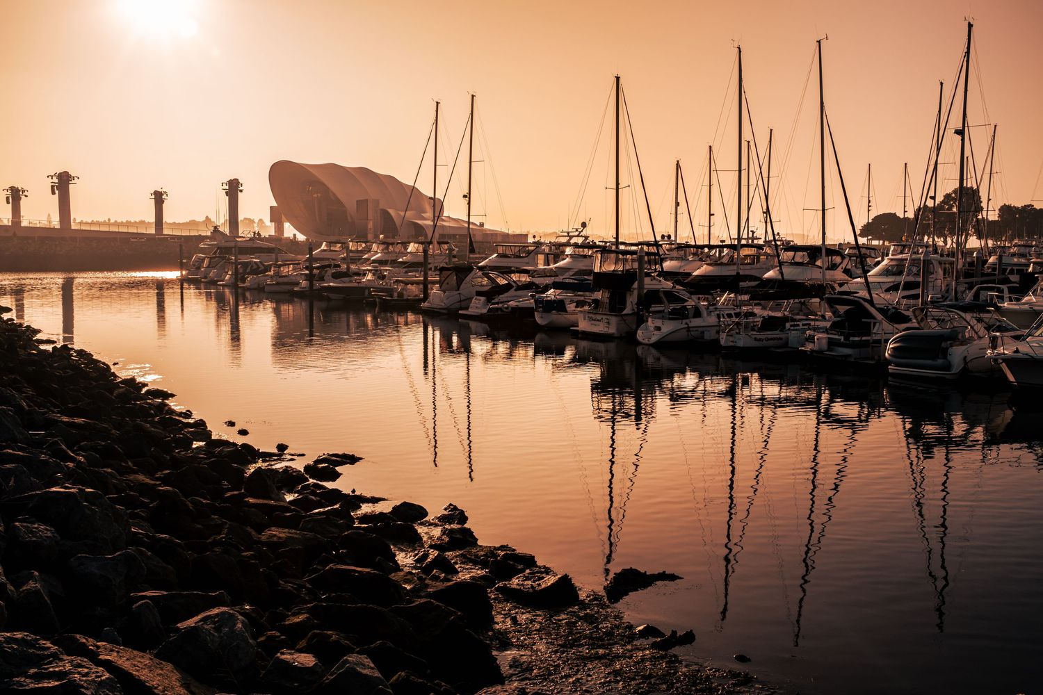 Sailboats docked at a marina during golden sunset with calm waters reflecting warm light.