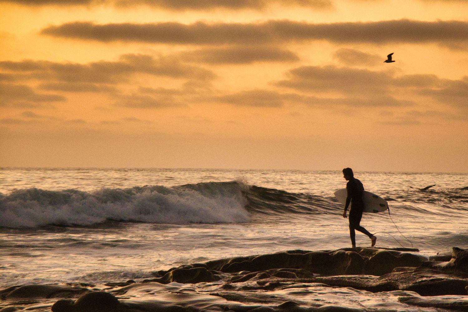 Silhouetted surfers ride waves during a golden sunset over the ocean.