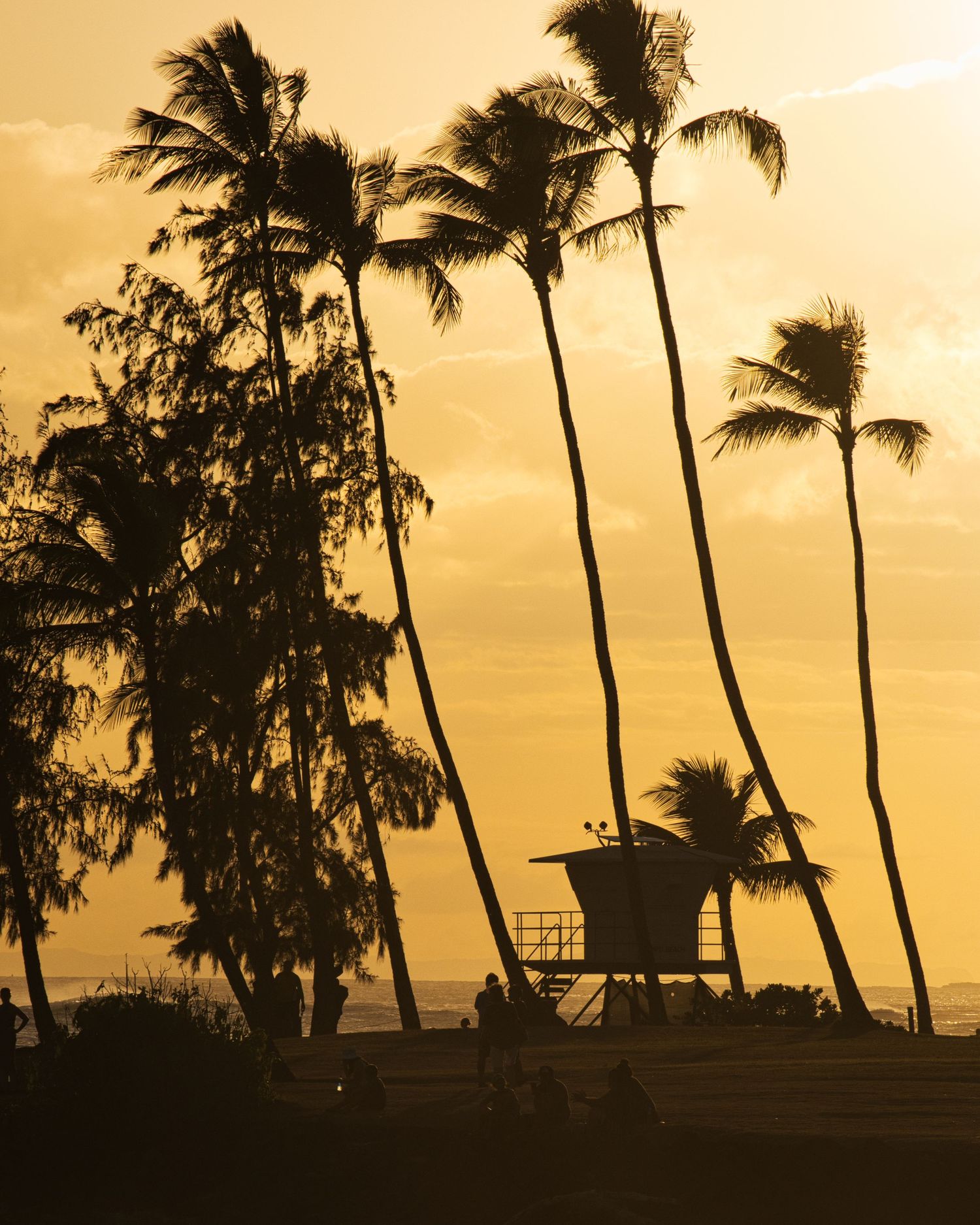 Palm trees silhouetted against golden sunset sky on tropical beach.