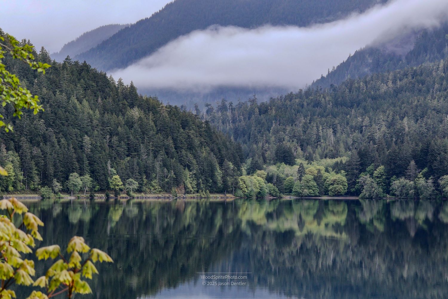 Lake Crescent in Olympic National Park, Washington. The lake's surface reflects the surrounding forest and overcast sky.