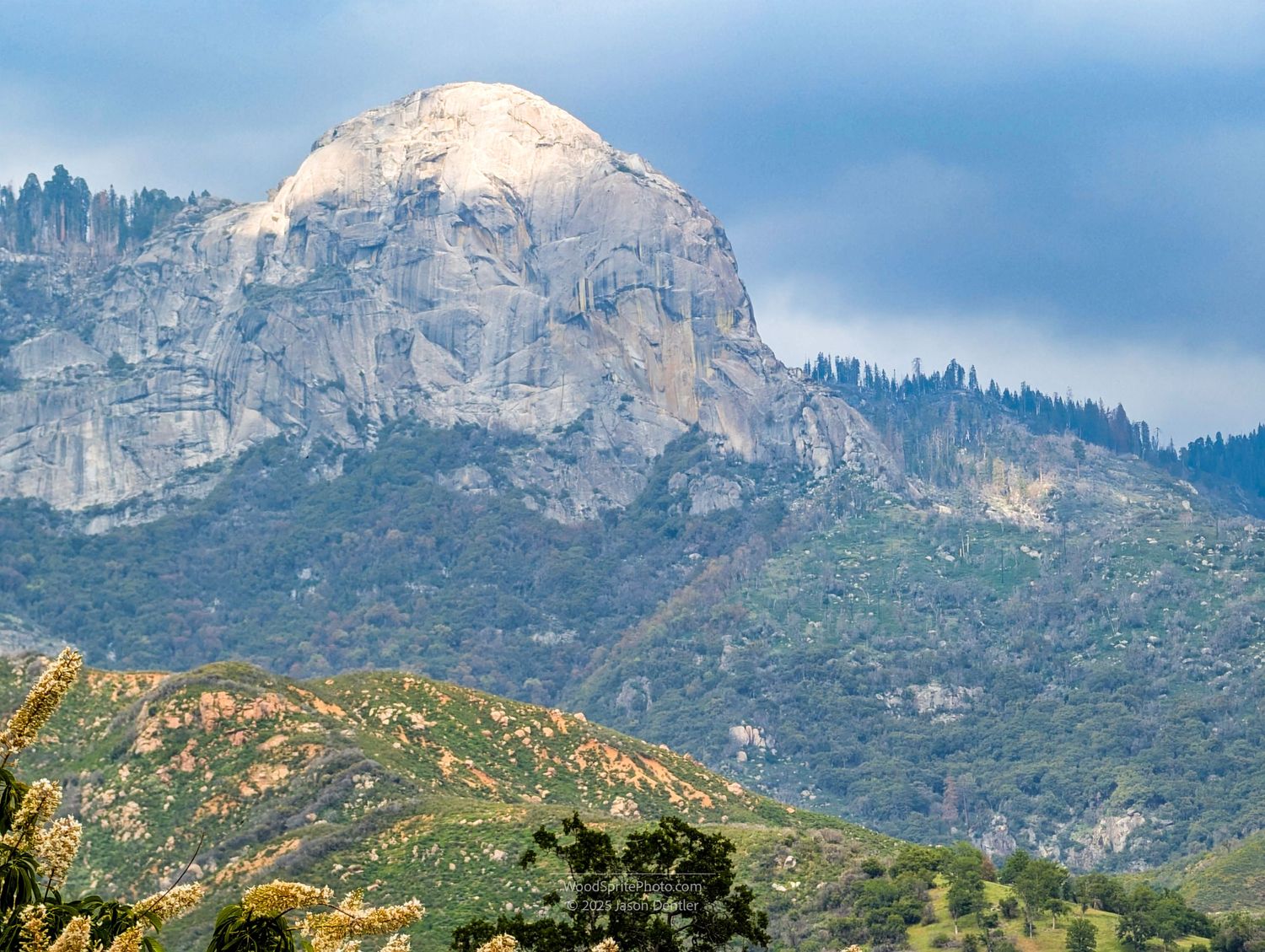 A large, gray granite mountain rises above a hillside covered in green trees and shrubs. The sky is overcast and gray.