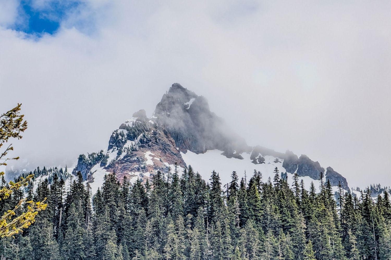Snow-covered mountain peak with clouds and evergreen trees in the foreground.