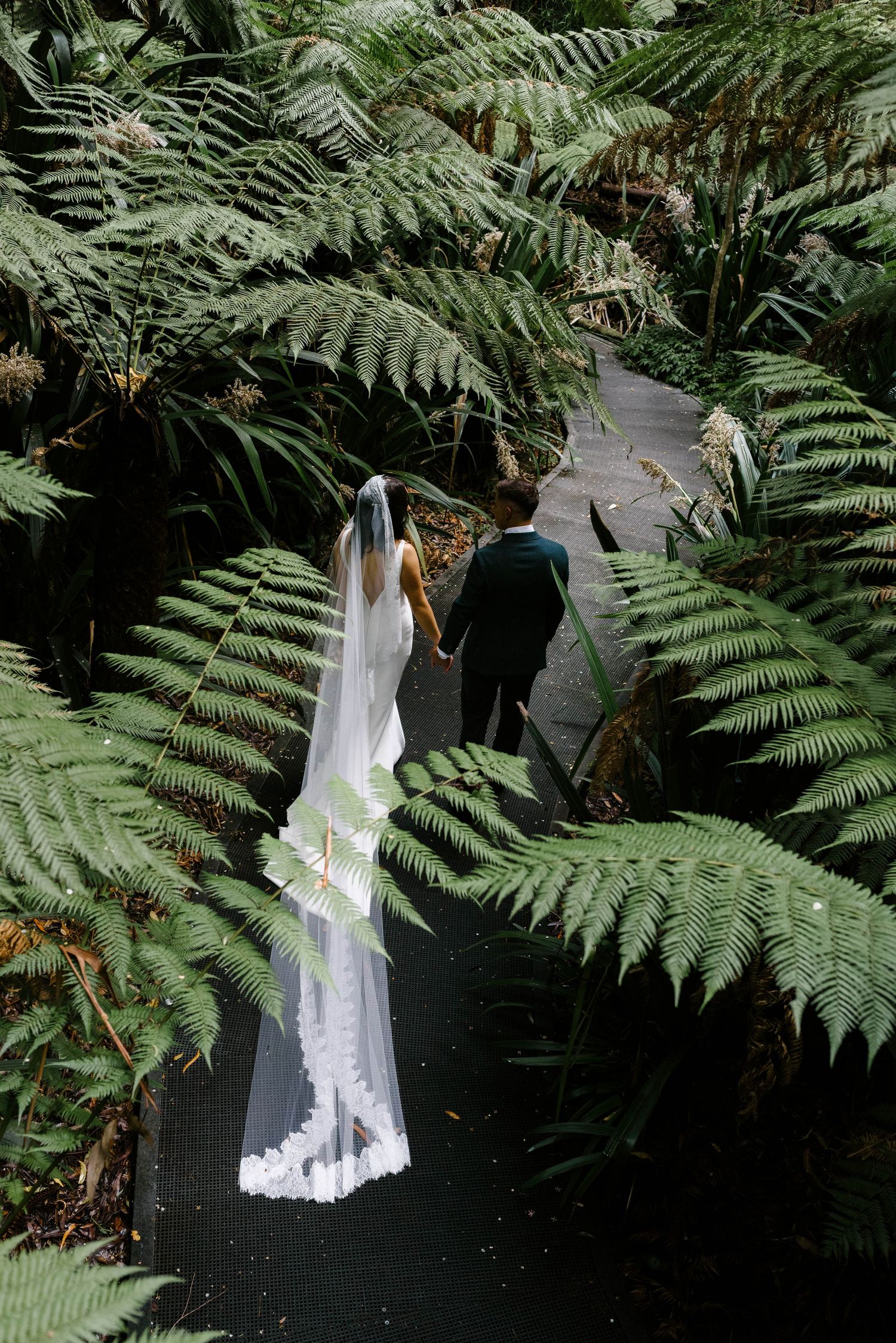 A white wedding dress hangs elegantly among lush green fern fronds in a natural outdoor setting.