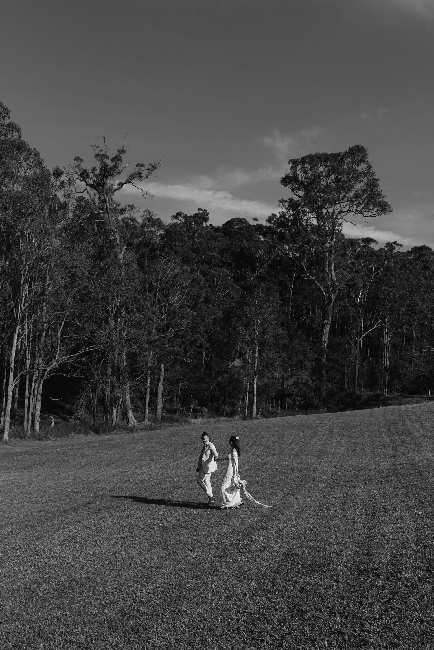 Kangaroos grazing in a grassy field with trees in the background.