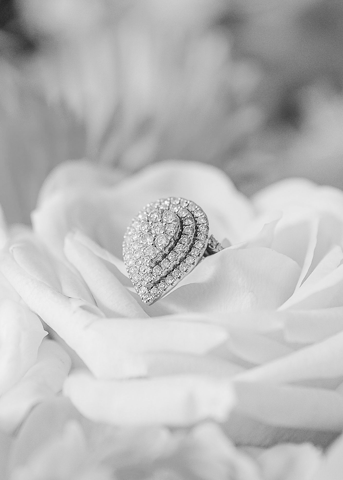 Close-up view of an elegant diamond engagement ring nestled in delicate white rose petals in black and white.