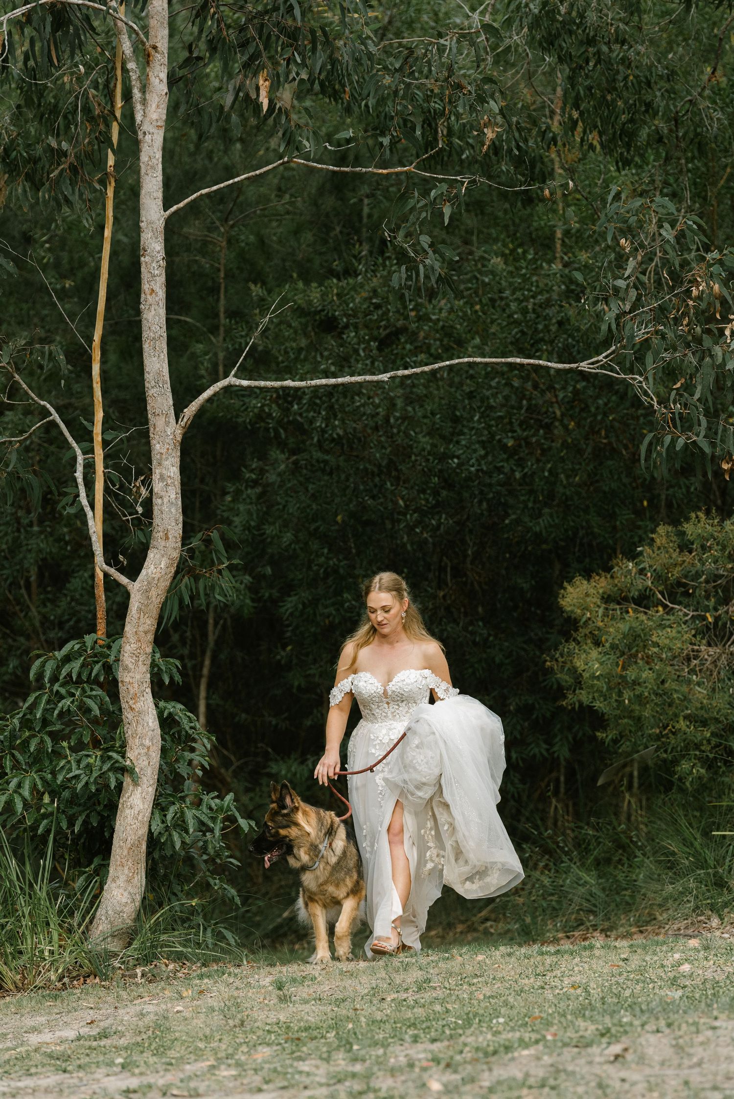 Bride in white off-shoulder gown walks with German Shepherd dog through lush green forest setting.