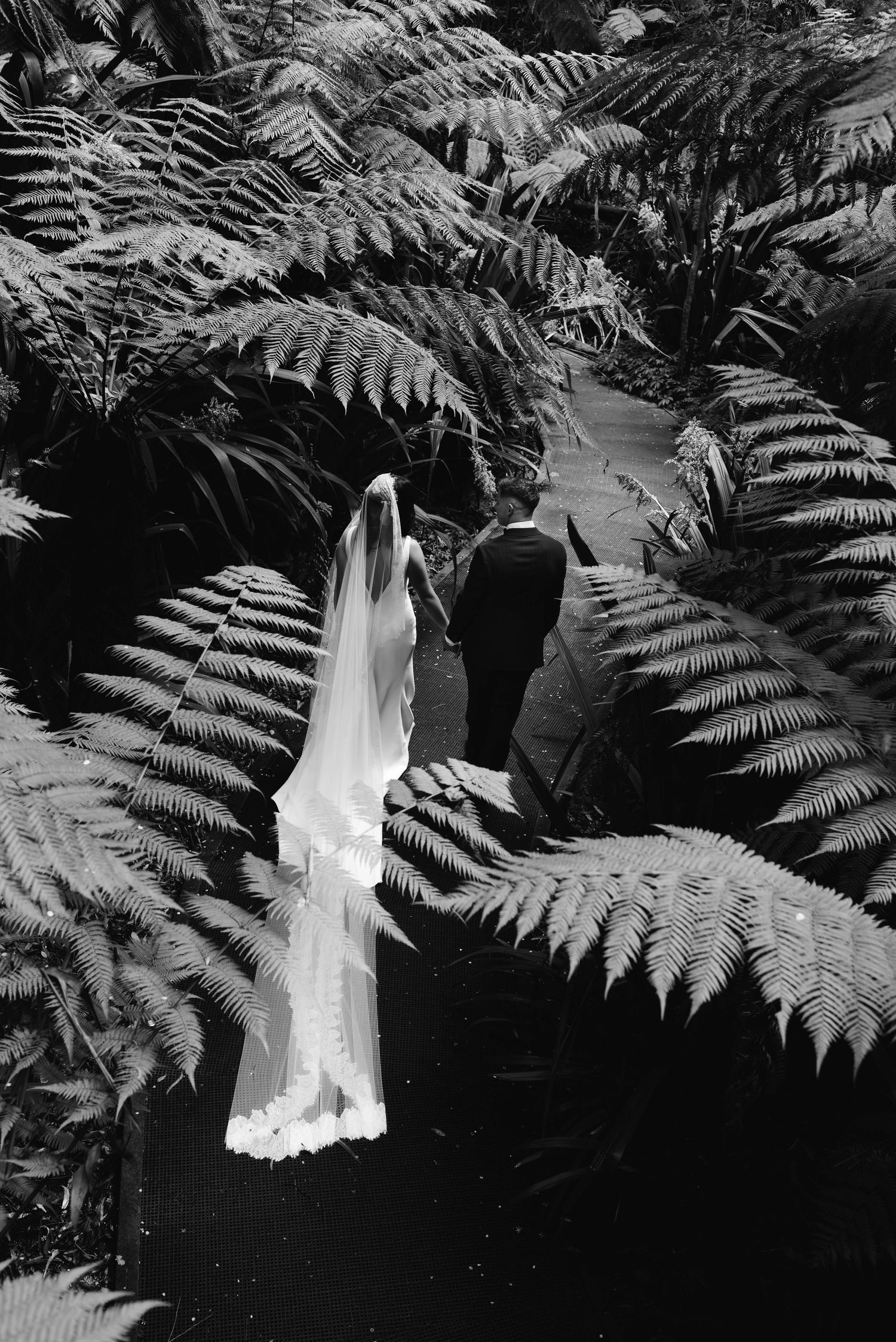 Black and white photo of a bride and groom walking through lush fern gardens on their wedding day.