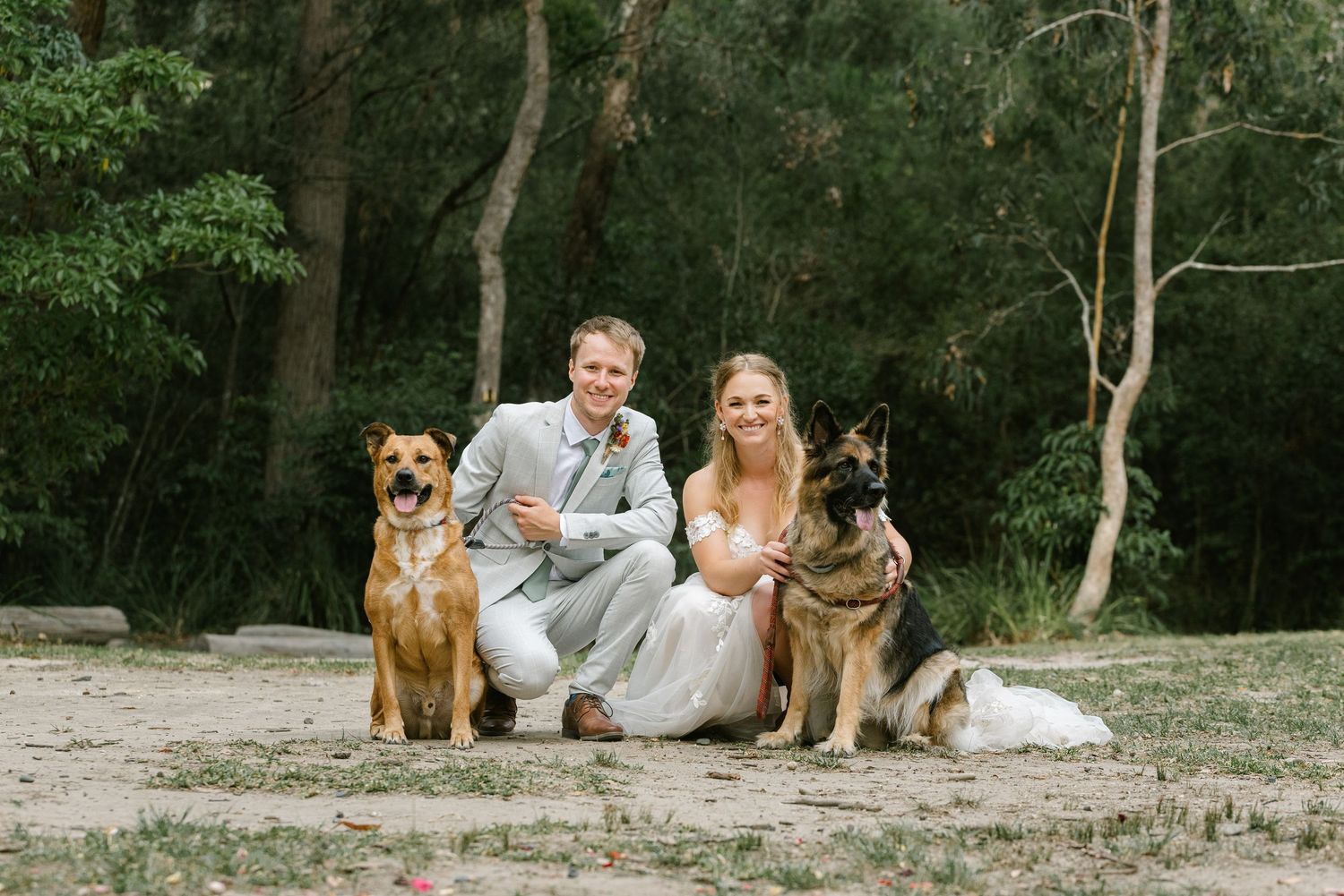 Bride and groom in wedding attire posing with two dogs outdoors in a lush green forest setting.