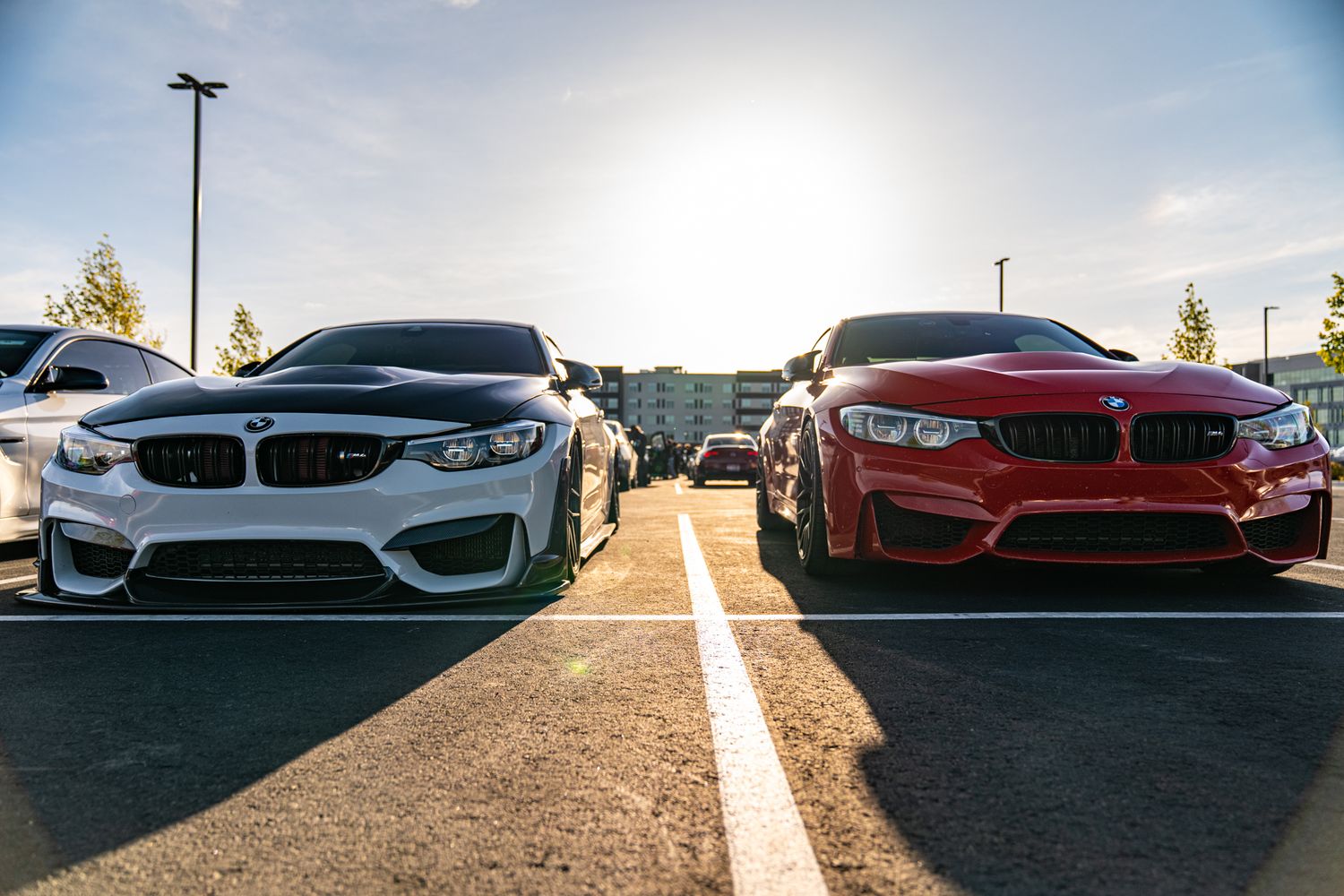 Two BMW M4 sports cars, one white and one red, parked side by side in a sunny parking lot.