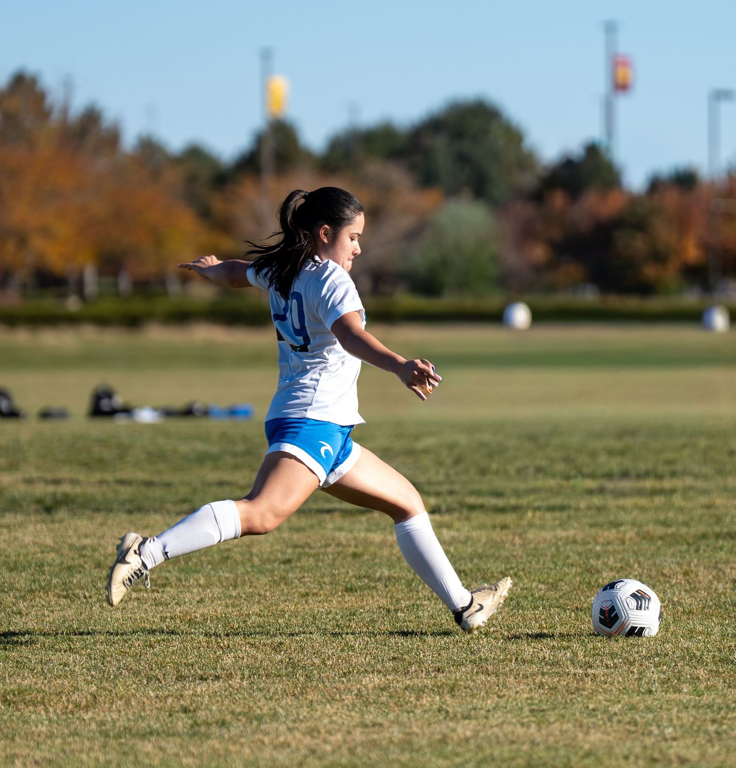 Soccer player in blue and white uniform kicking ball on grass field.