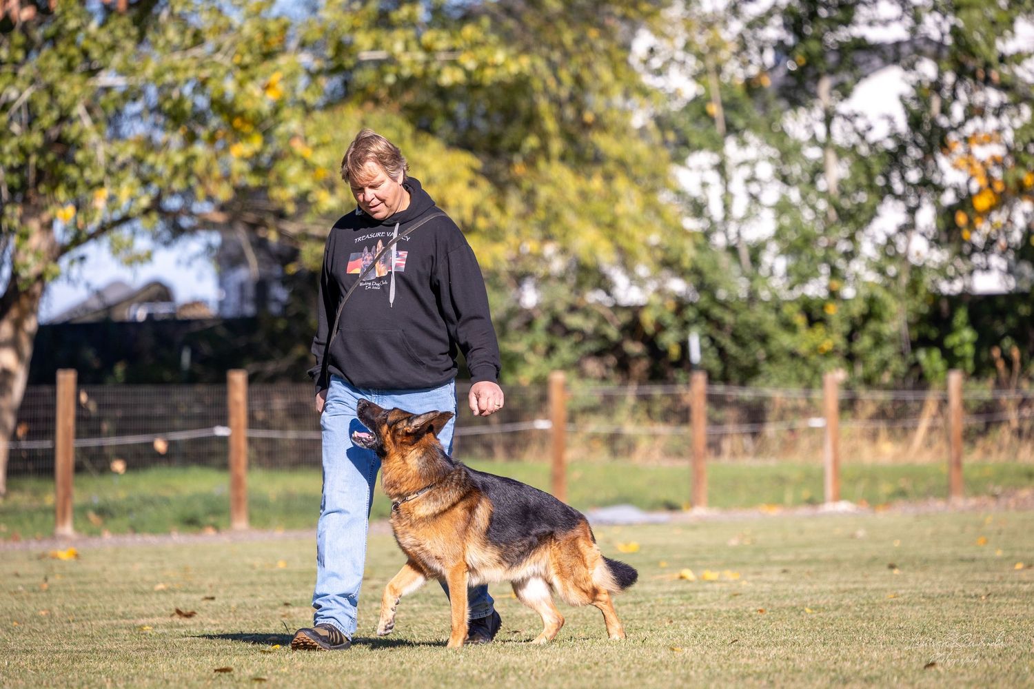 Dogs and handlers participating in outdoor training exercises near trees.