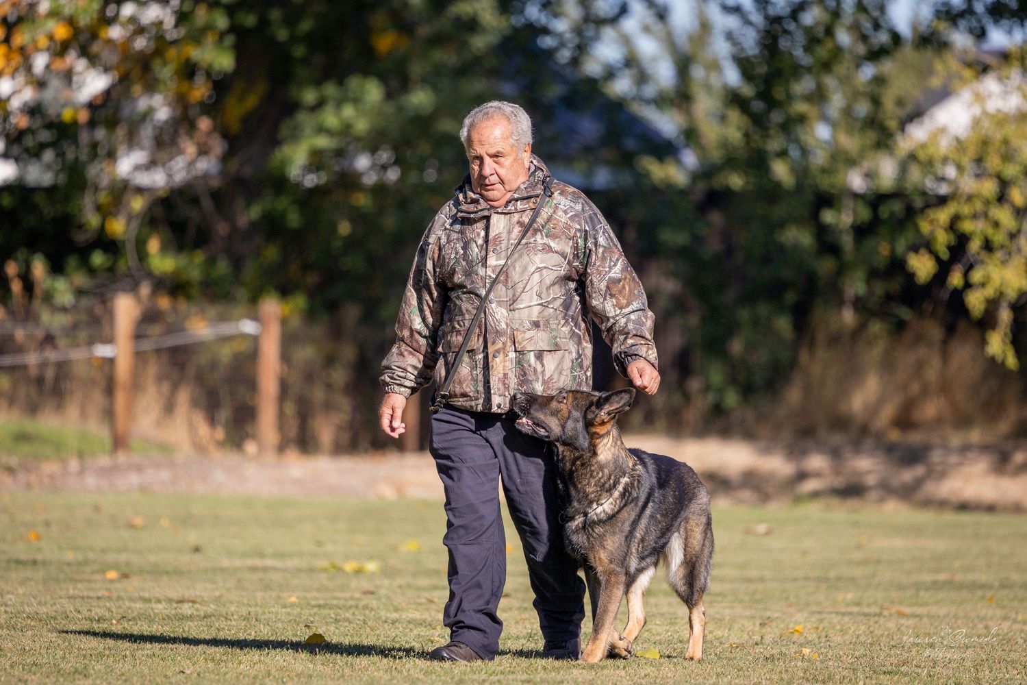 Dog running through an agility course with trainer in camouflage gear.