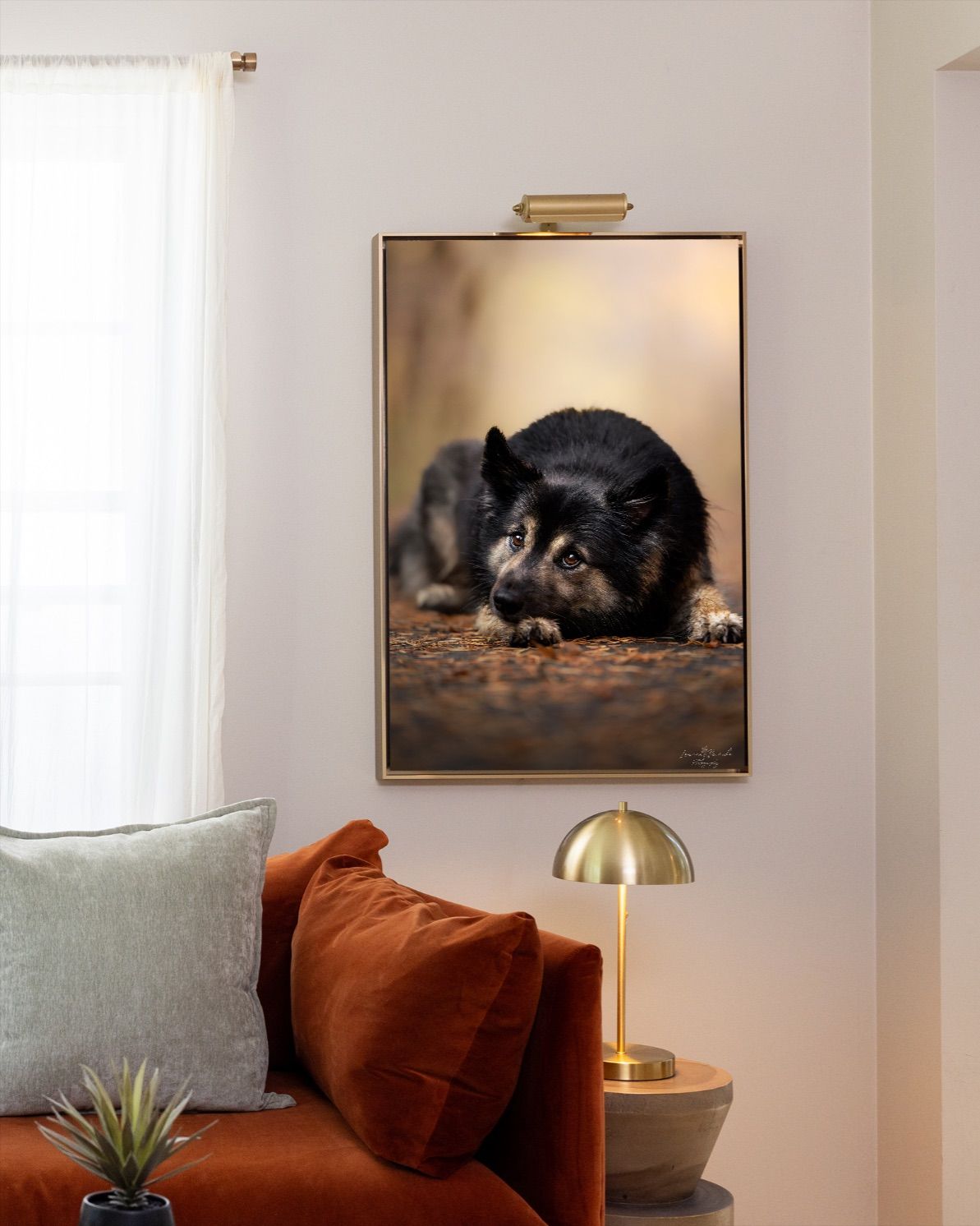 Framed portrait of a black German Shepherd dog hanging above an orange velvet sofa with a gold lamp on a side table.