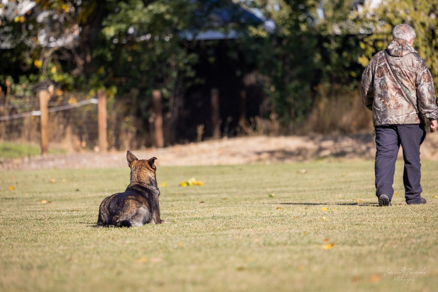 Dog following trainer's lead through an outdoor training course.
