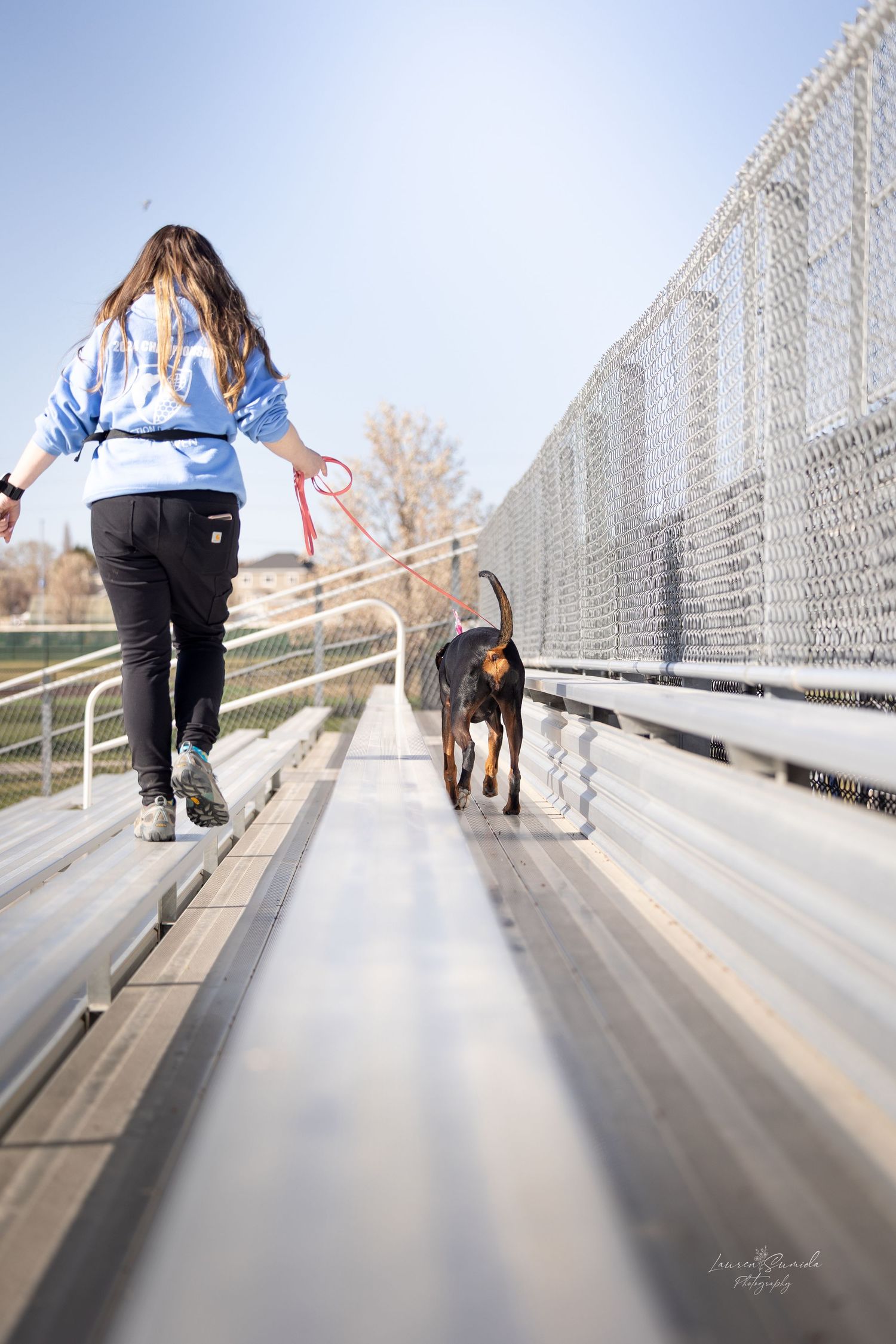 Dog walking on a metal bridge walkway with person on a sunny day.