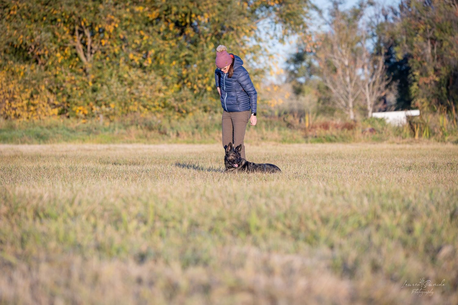 Dog trainer and black dog practicing obedience training in a fenced outdoor field on a sunny autumn day.