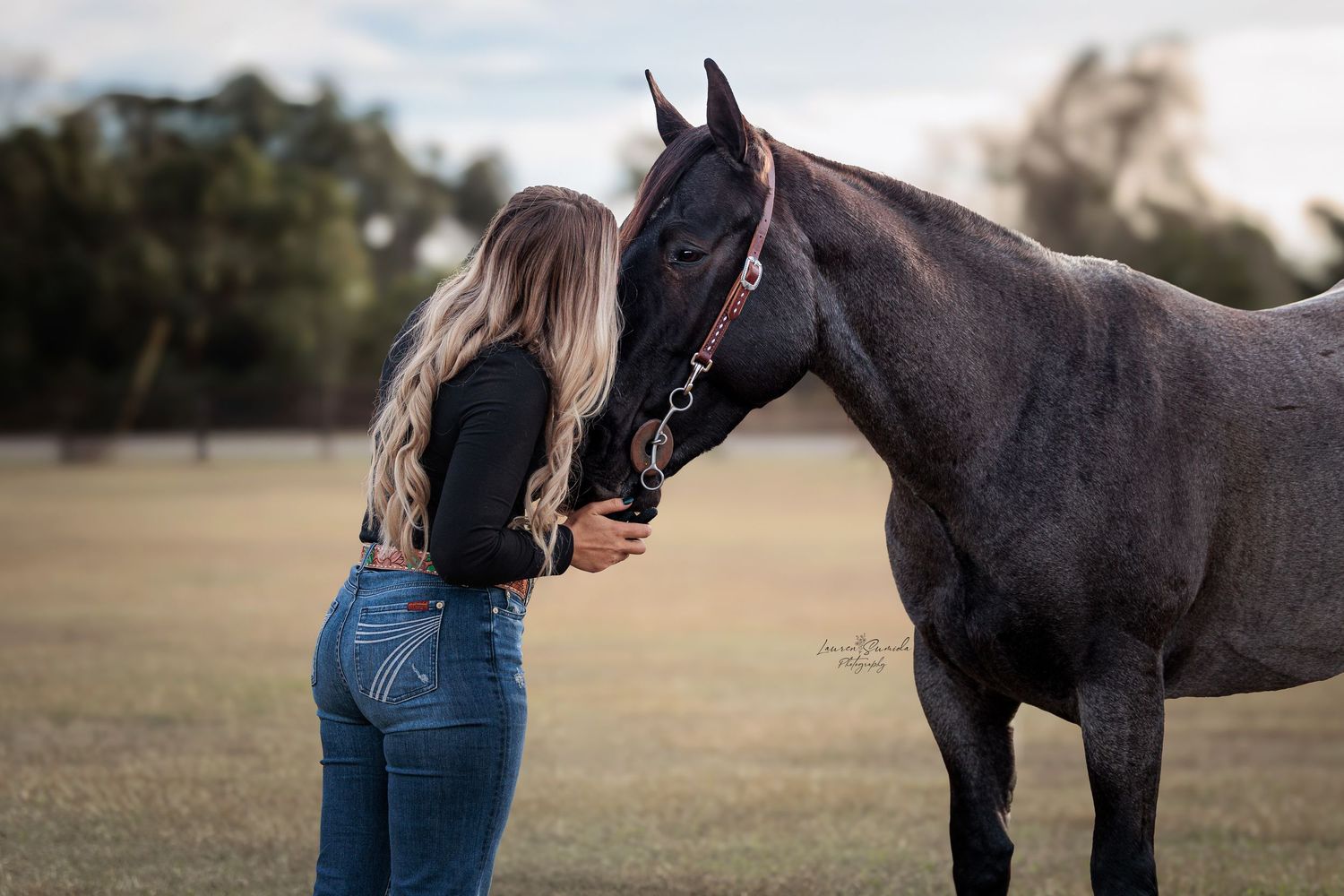 Elegant horses photographed in a sunlit field during a golden hour equine photoshoot session.