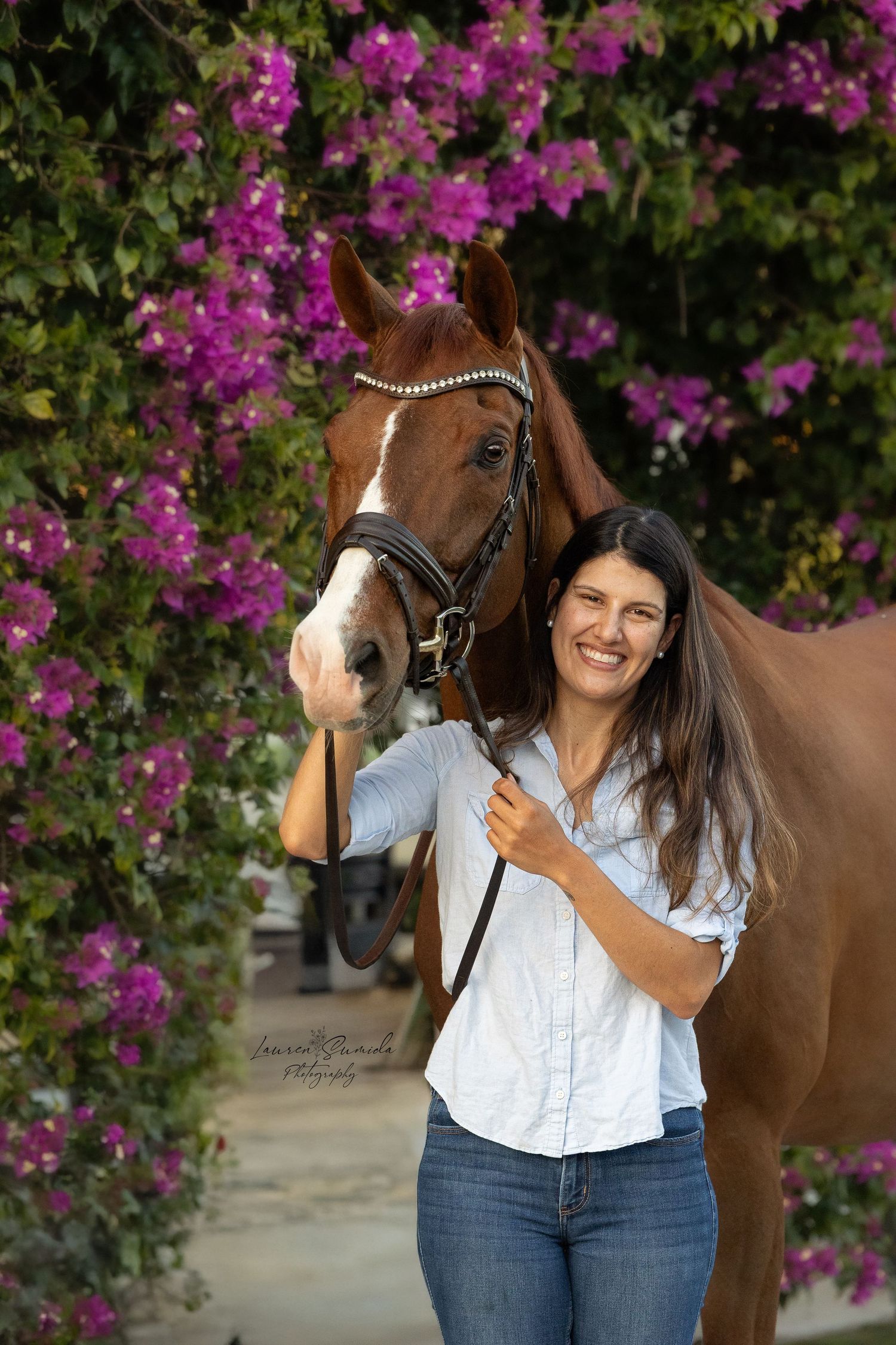 Beautiful brown horse with white markings poses near vibrant purple bougainvillea flowers.