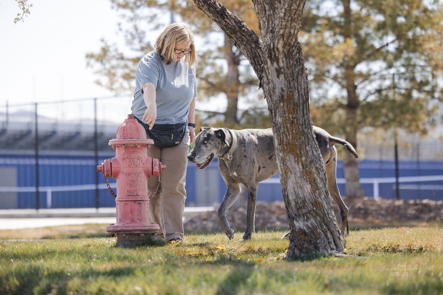 Dogs playing and running around trees near a red fire hydrant.