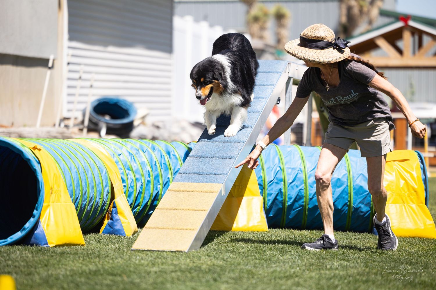 Dog navigating blue and yellow agility tunnel with trainer guidance.