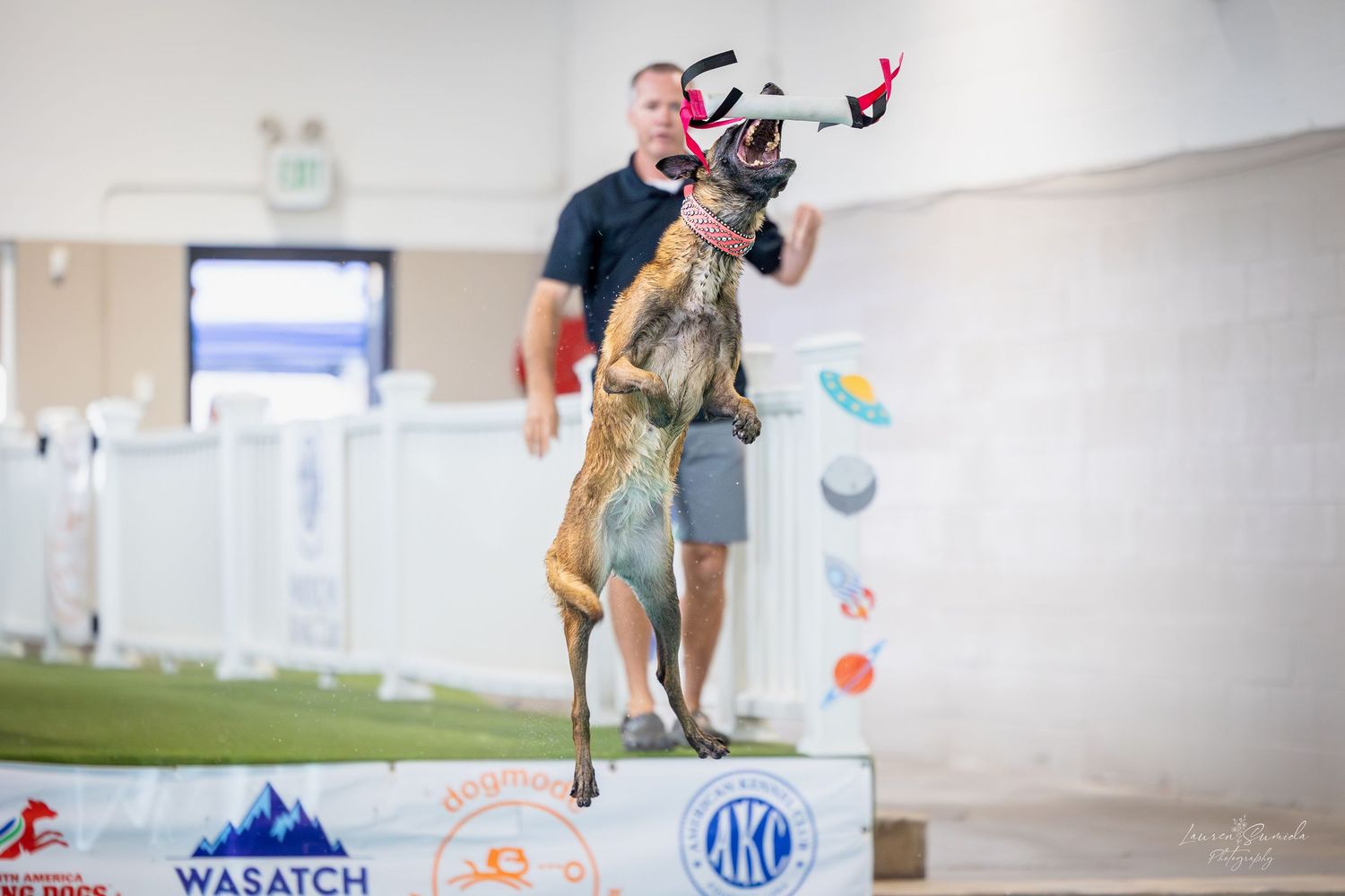 People playing and exercising with dogs in a bright indoor training facility.