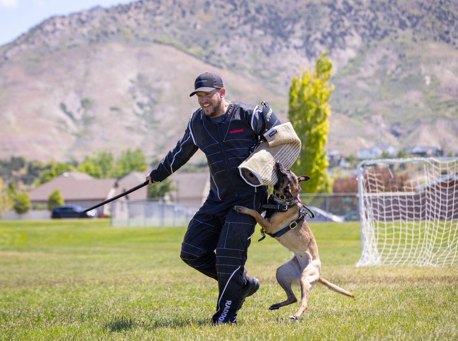Dog leaping through the air during agility training with mountains in the background.