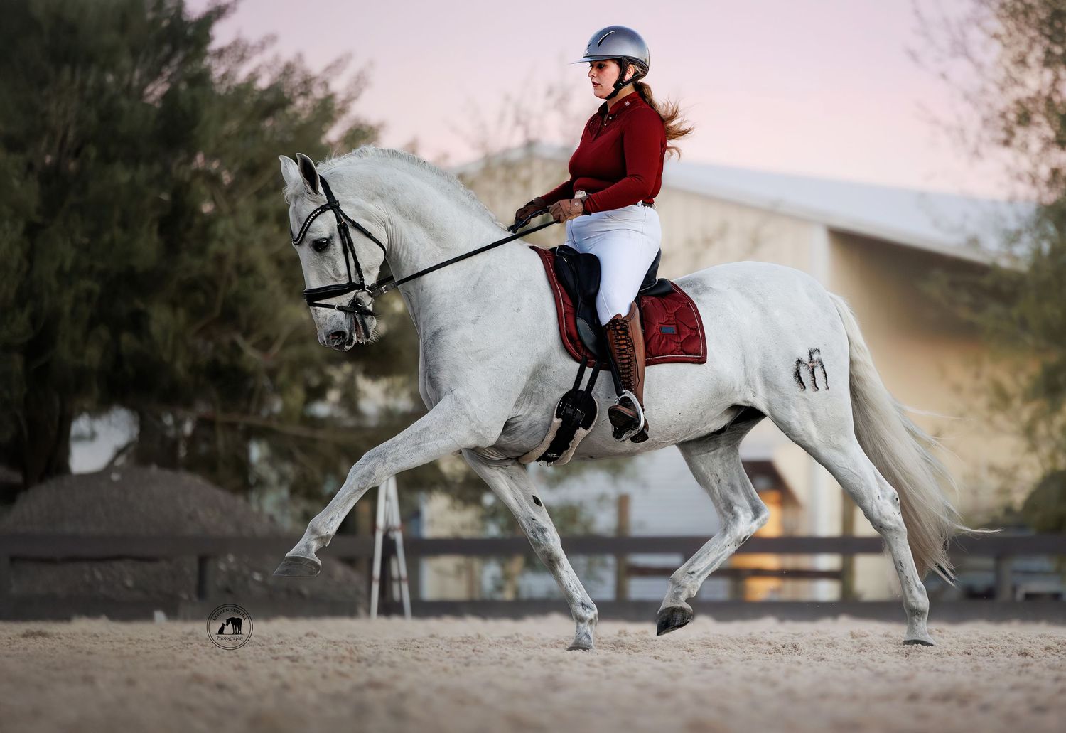 Equestrian in a red jacket, white breeches and helmet rides a gray horse in a trot across a sandy outdoor arena at sunset.