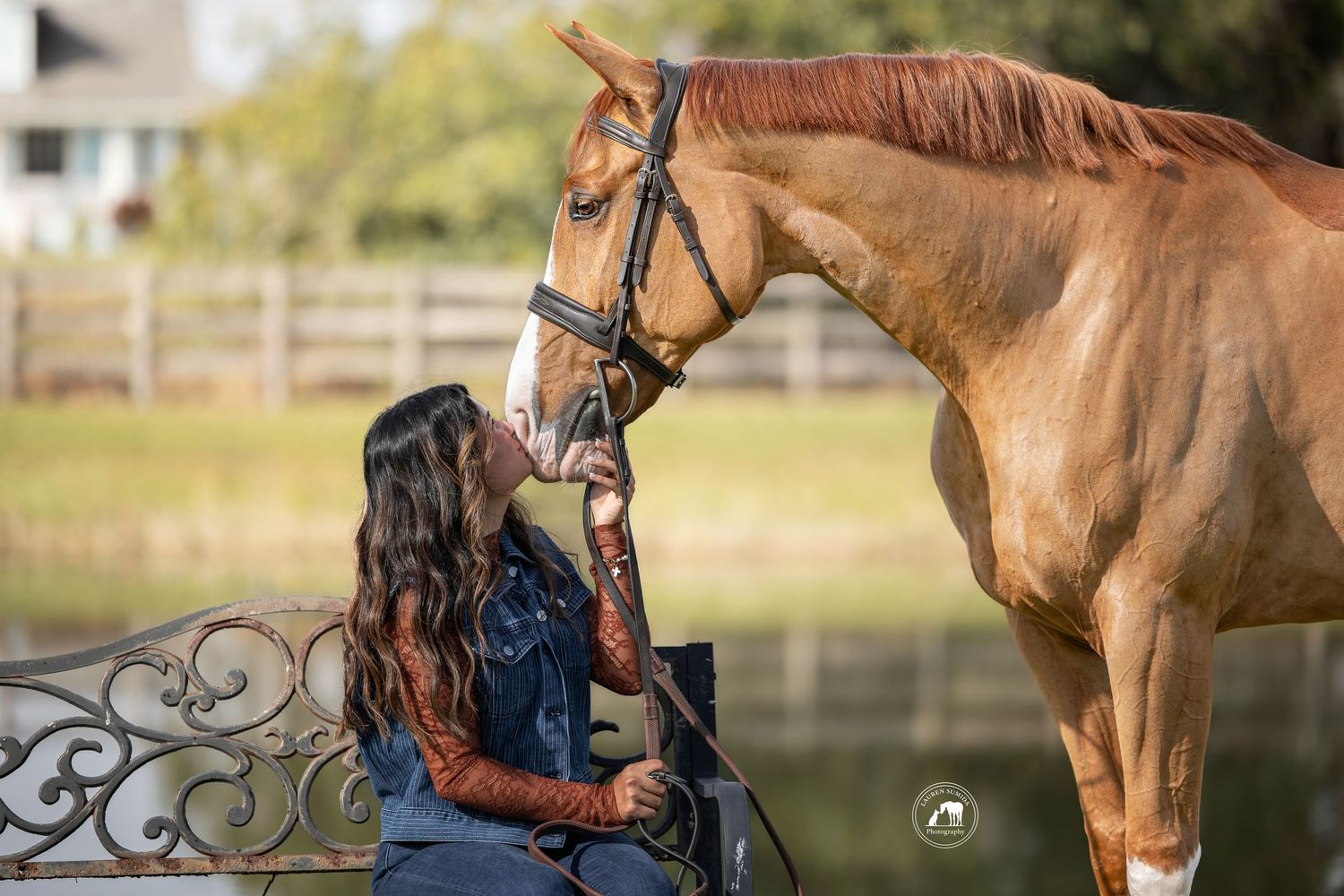 A chestnut horse with long mane stands close to its handler against a rural backdrop.