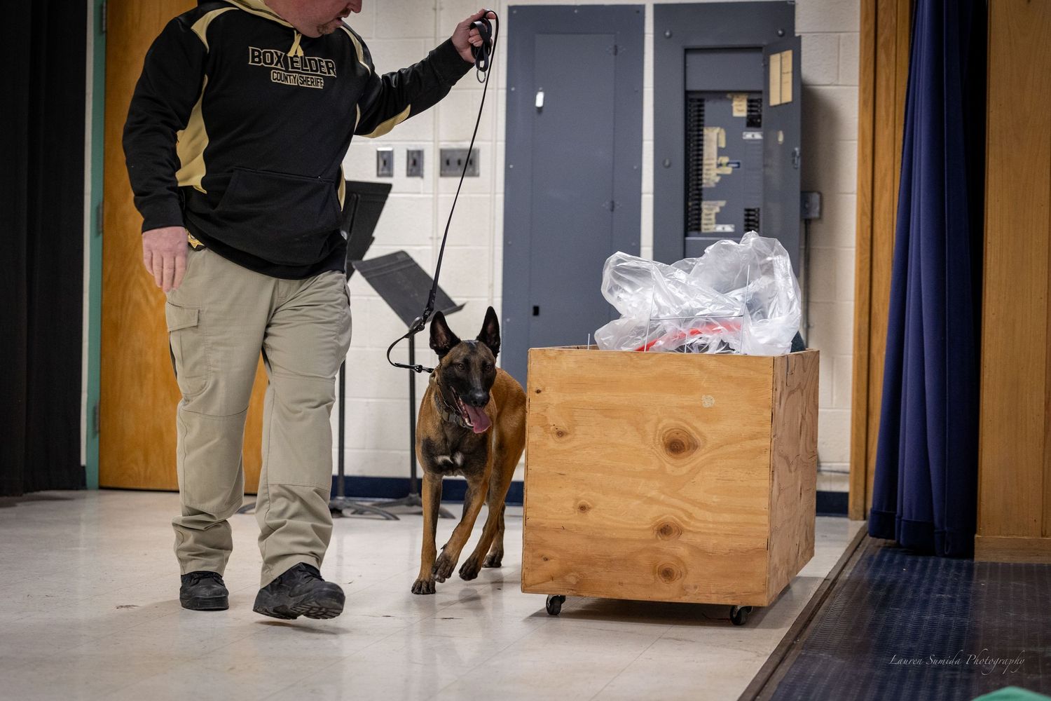Working dog practices detection exercises in indoor training facility.