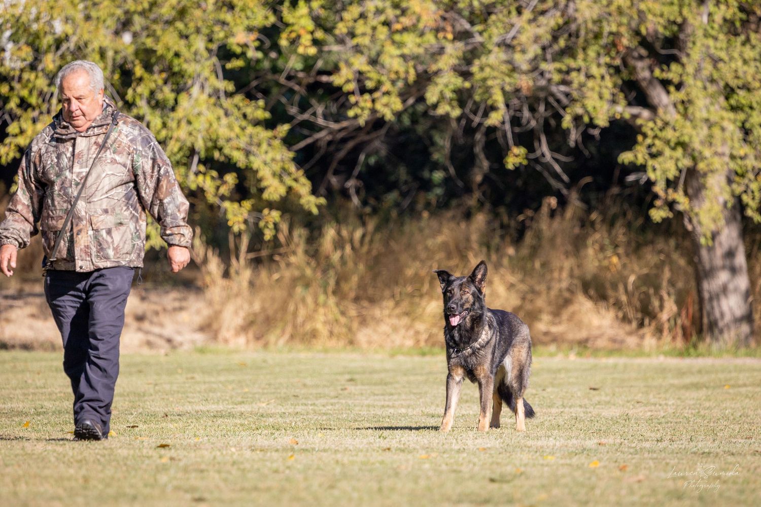 Dog and trainer working on obedience exercises in a fenced training area.